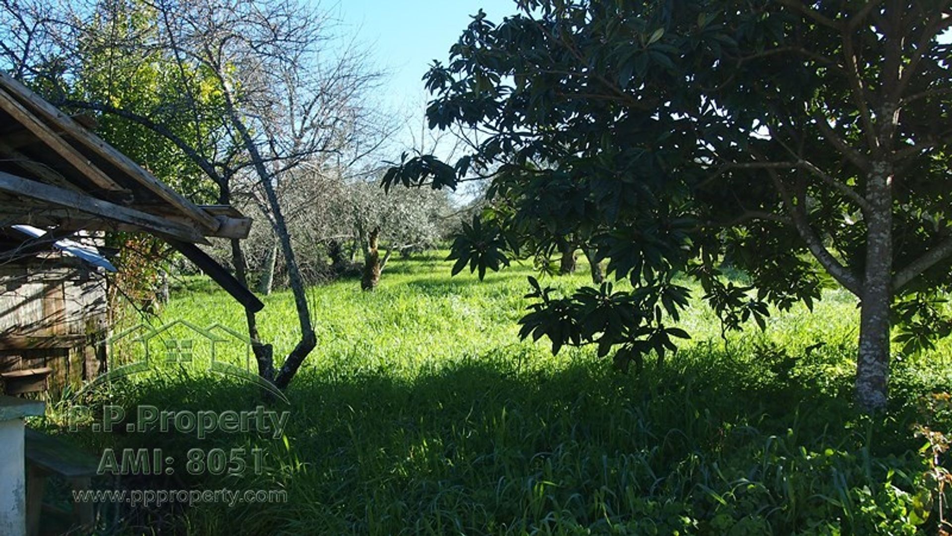 Talo sisään Alvaiazere, Leiria 10029332