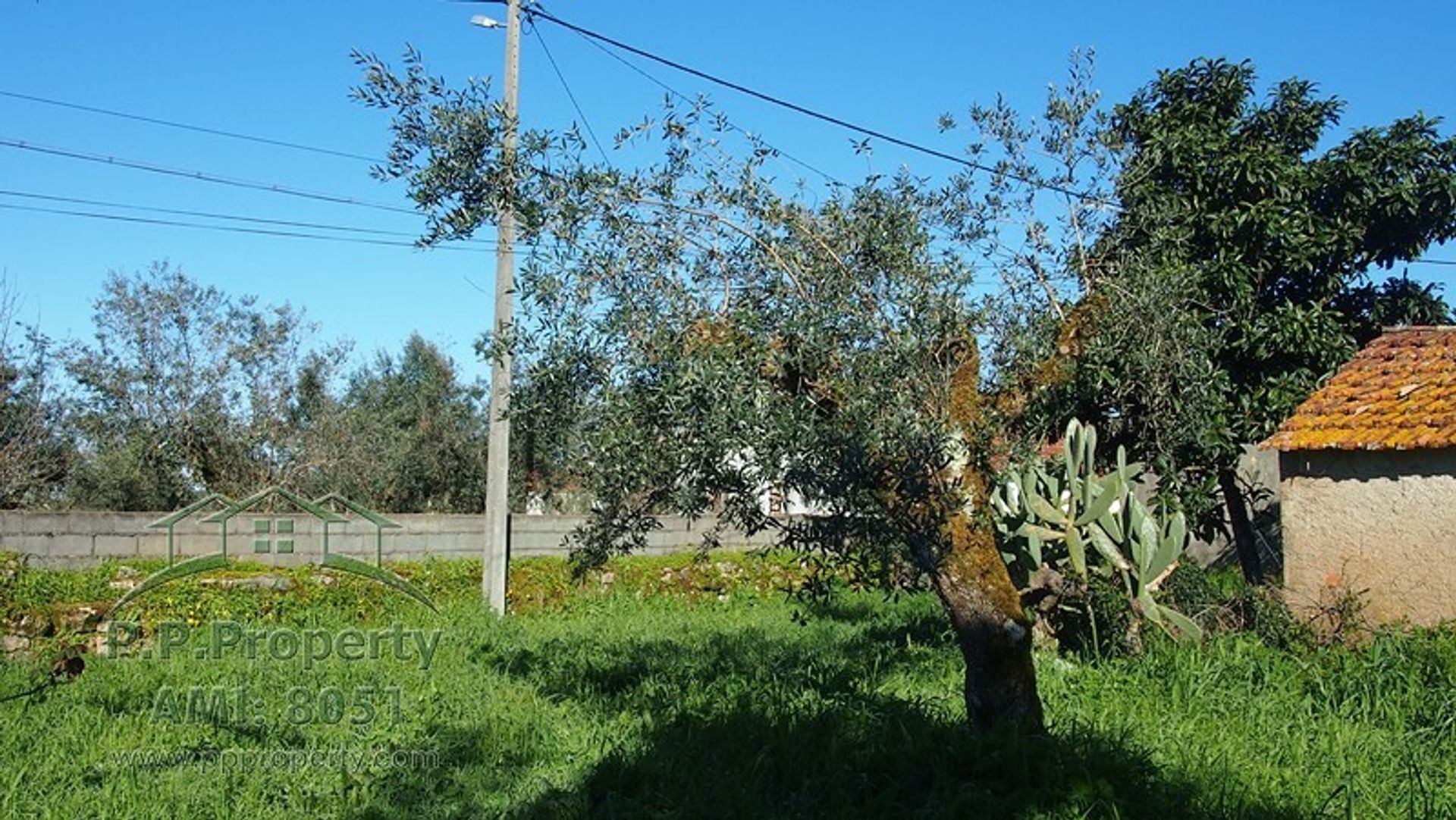 Huis in Alvaiazere, Leiria 10029332