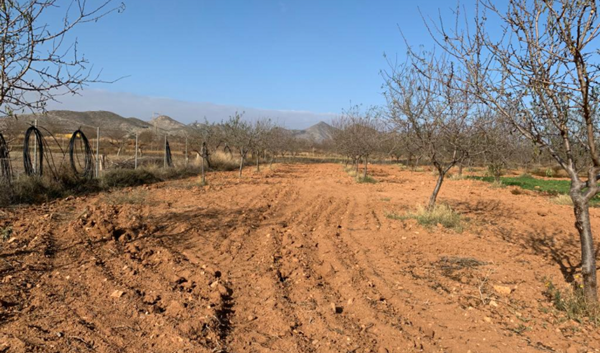 casa no Los Barreros, Múrcia 10029365