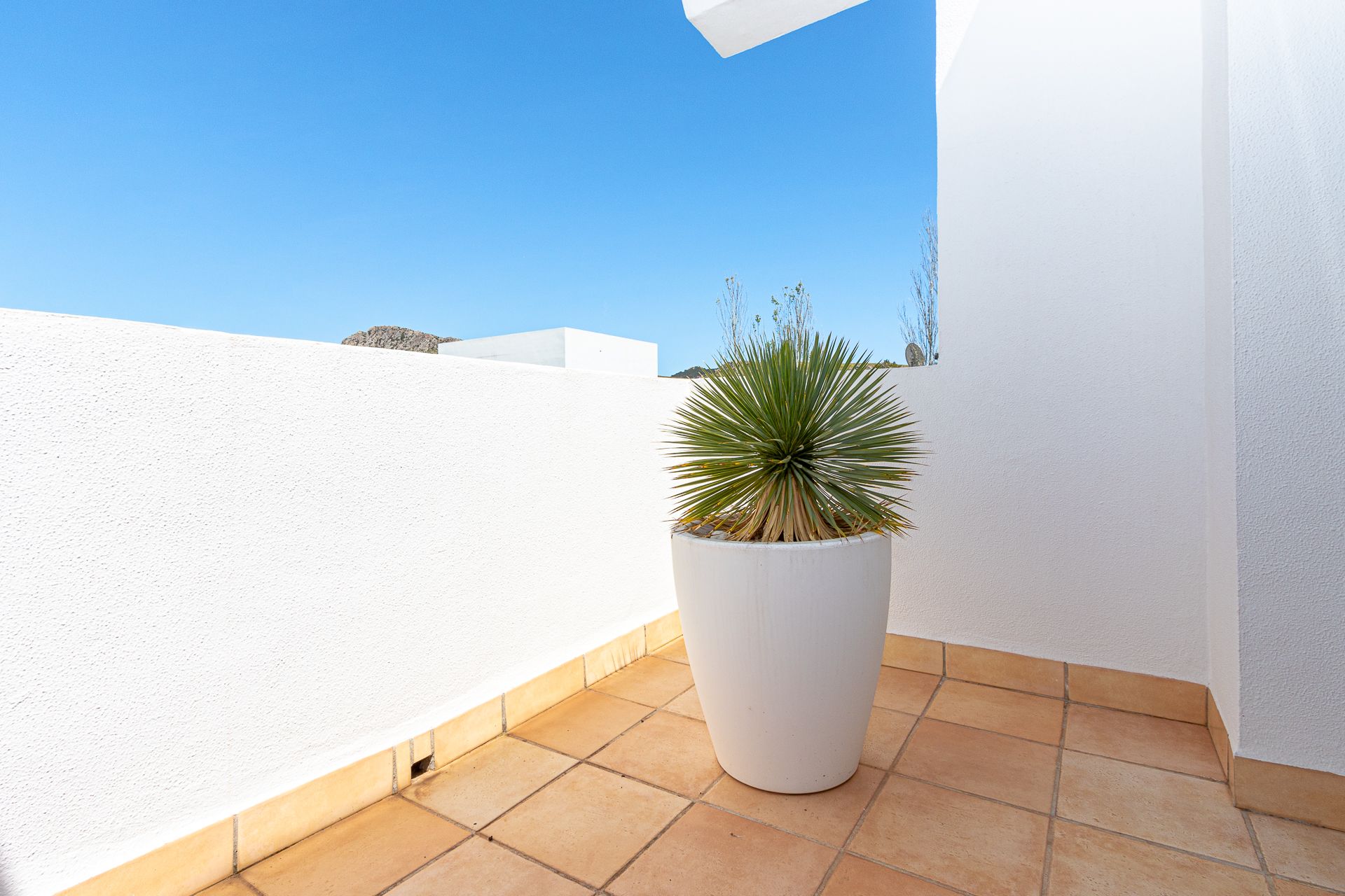 Haus im Puerto Pollenca, Balearic Islands 10029591