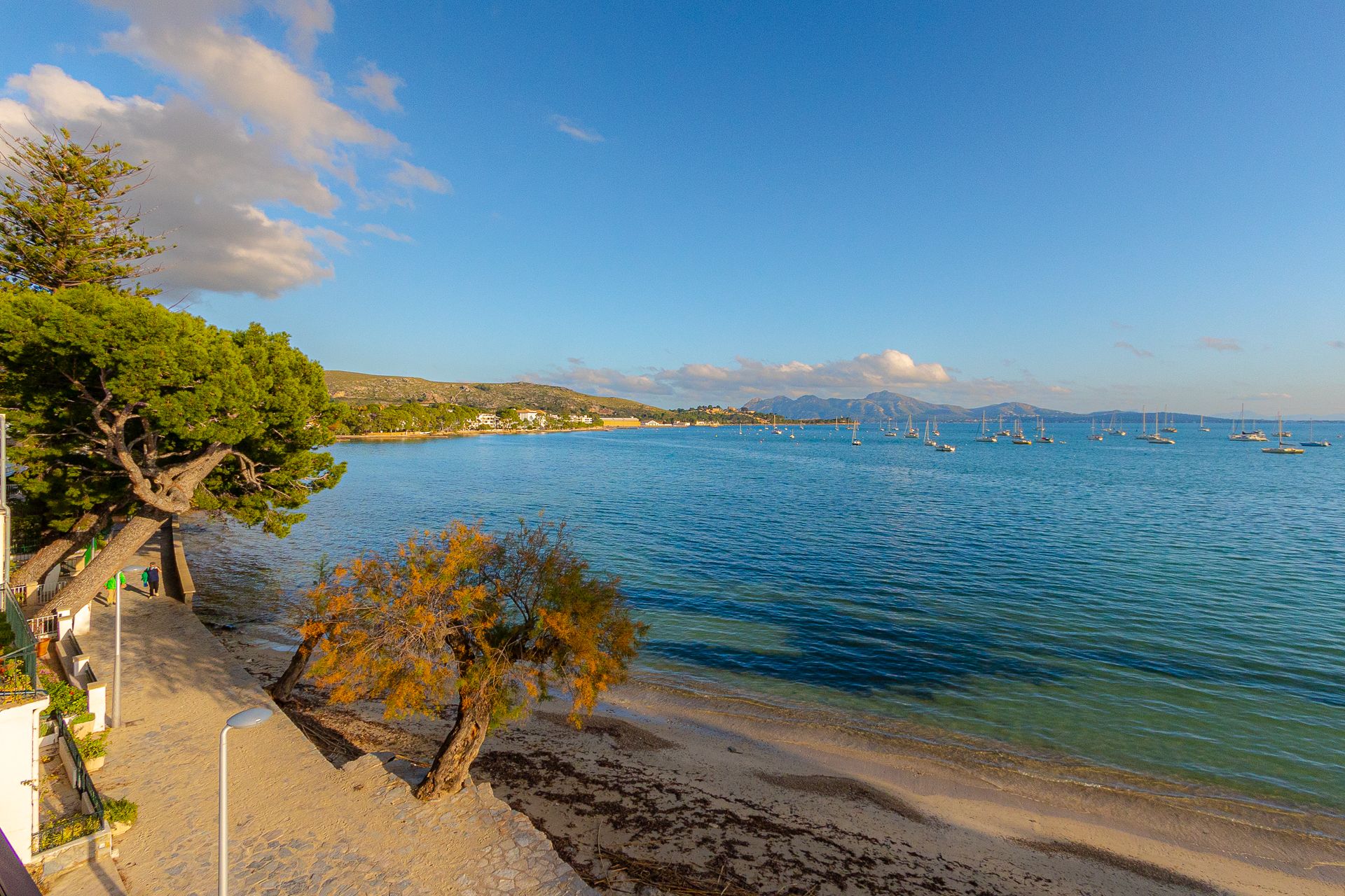 عمارات في Puerto Pollenca, Balearic Islands 10029599