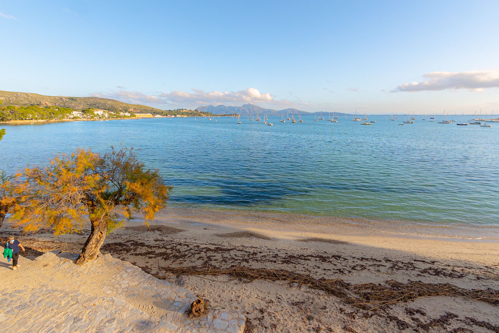 Συγκυριαρχία σε Puerto Pollenca, Balearic Islands 10029599