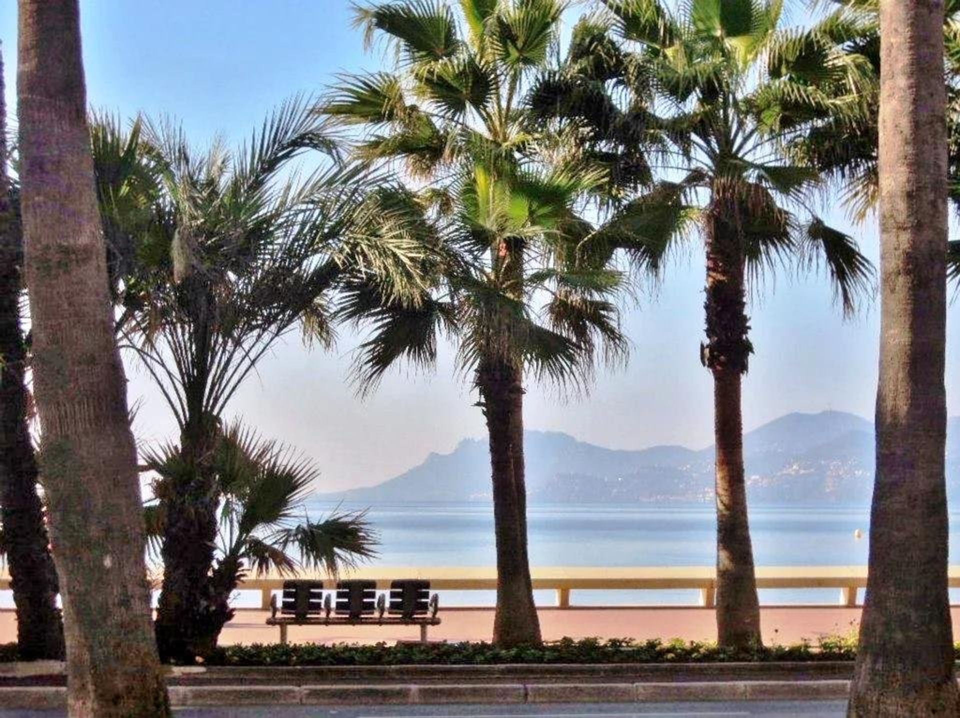 Condominium in Croisette Cannes, Provence-Alpes-Cote dAzur 10029692