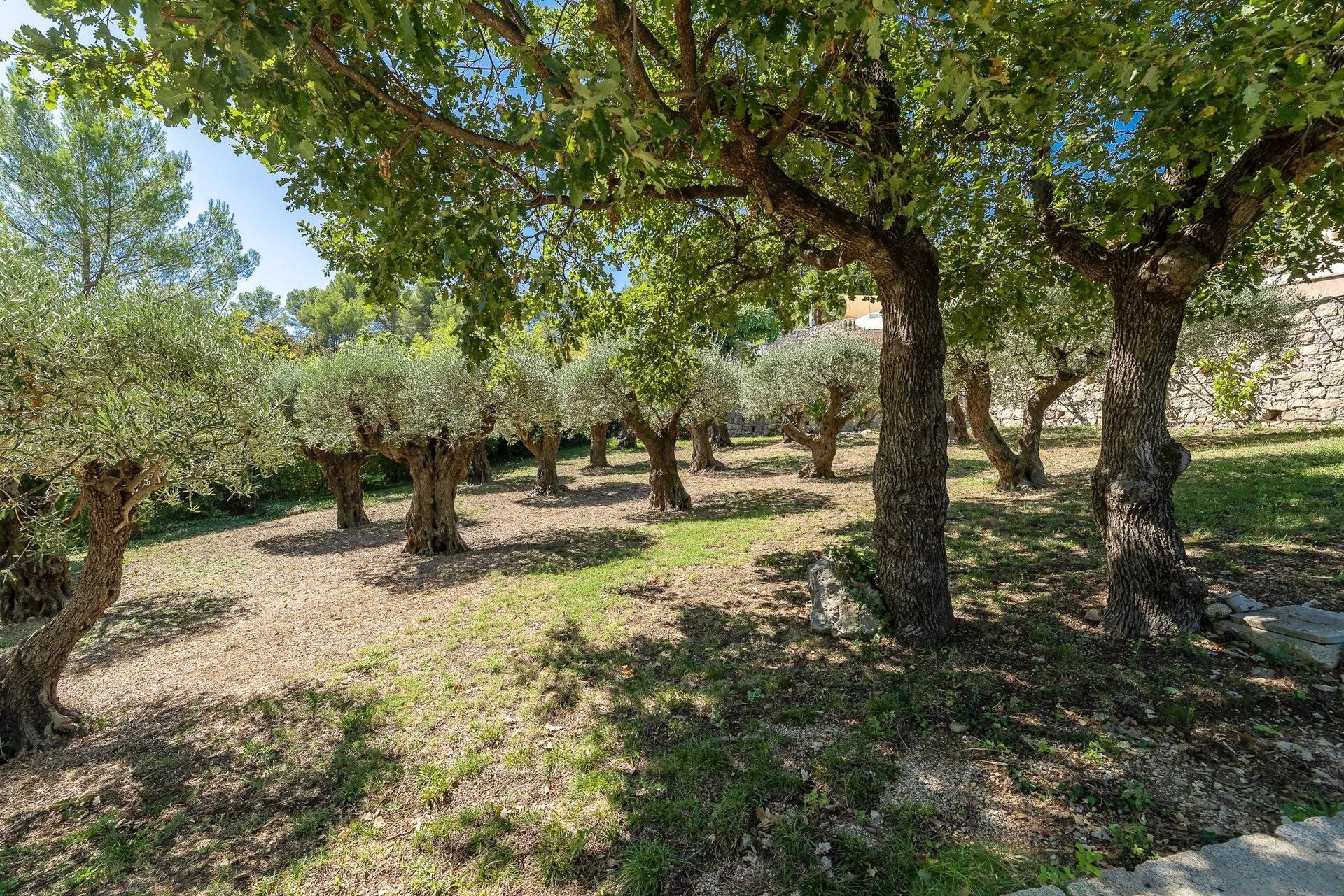 בַּיִת ב Seillans, Provence-Alpes-Cote d'Azur 10029706