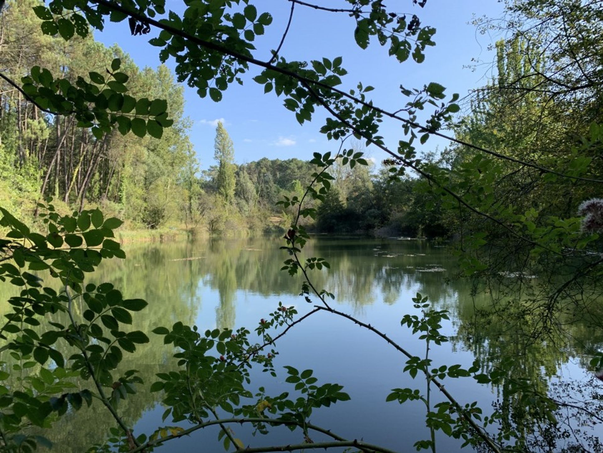 loger dans Neuvic, Nouvelle-Aquitaine 10029759