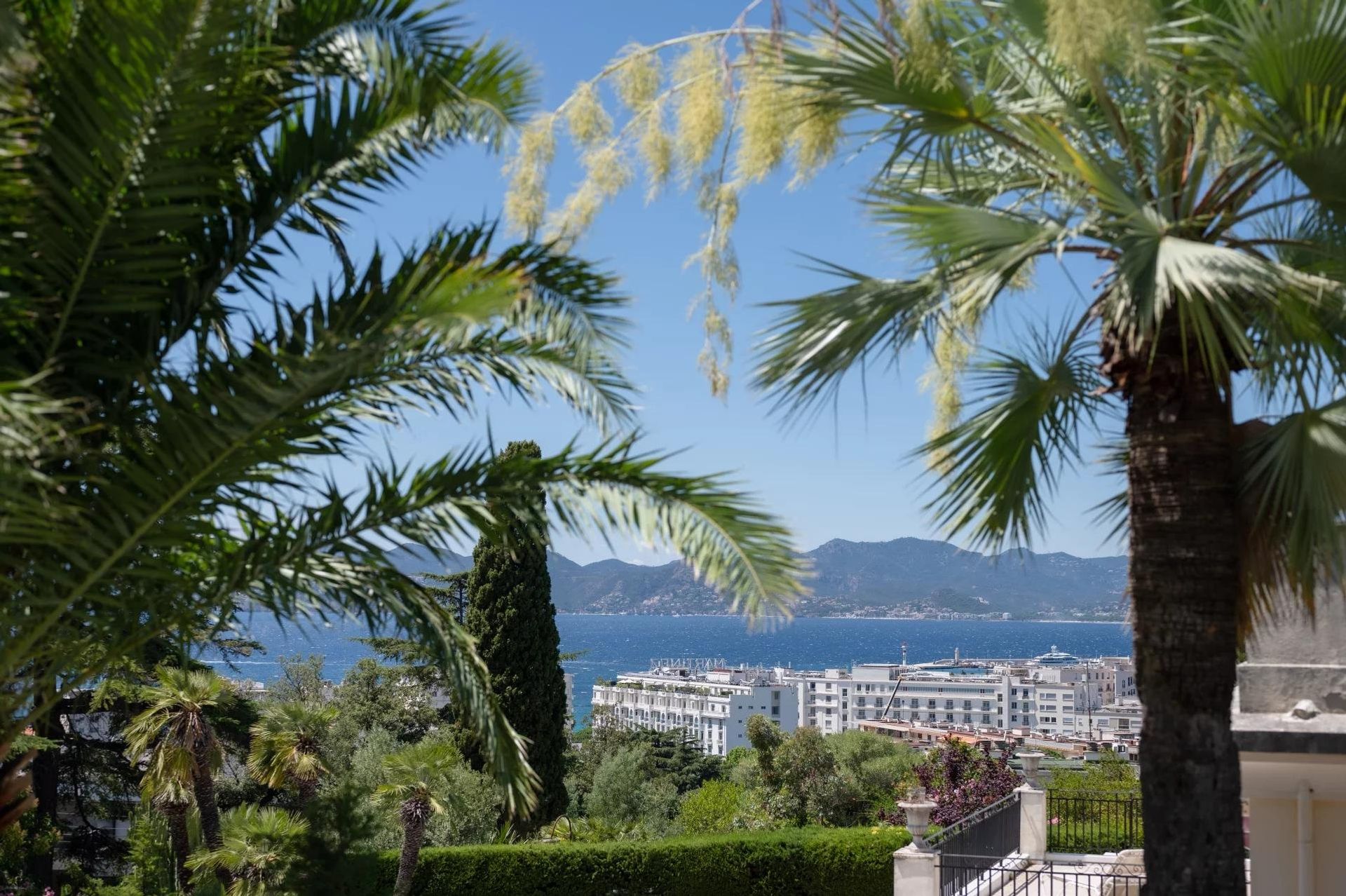 Condominium in Cannes, Provence-Alpes-Côte d'Azur 10030032