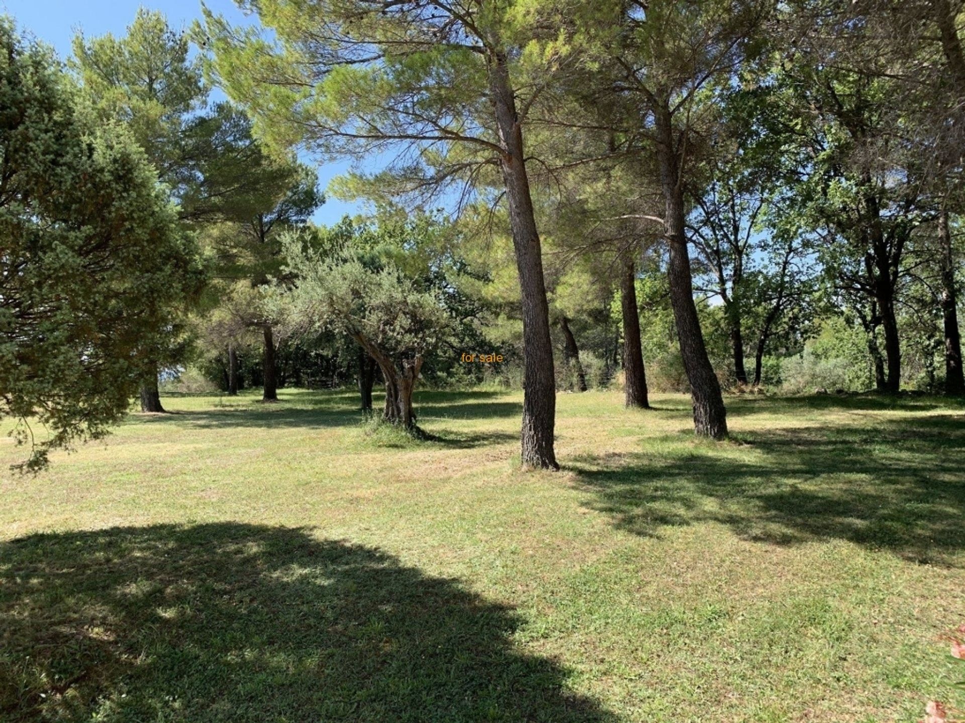 House in Seillans, Provence-Alpes-Cote d'Azur 10030225