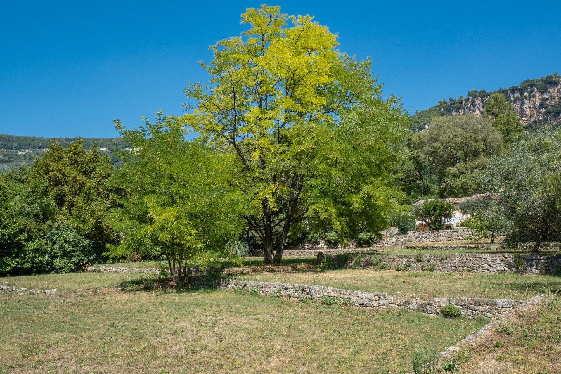 房子 在 Grasse St Francois, Provence-Alpes-Cote d'Azur 10030289