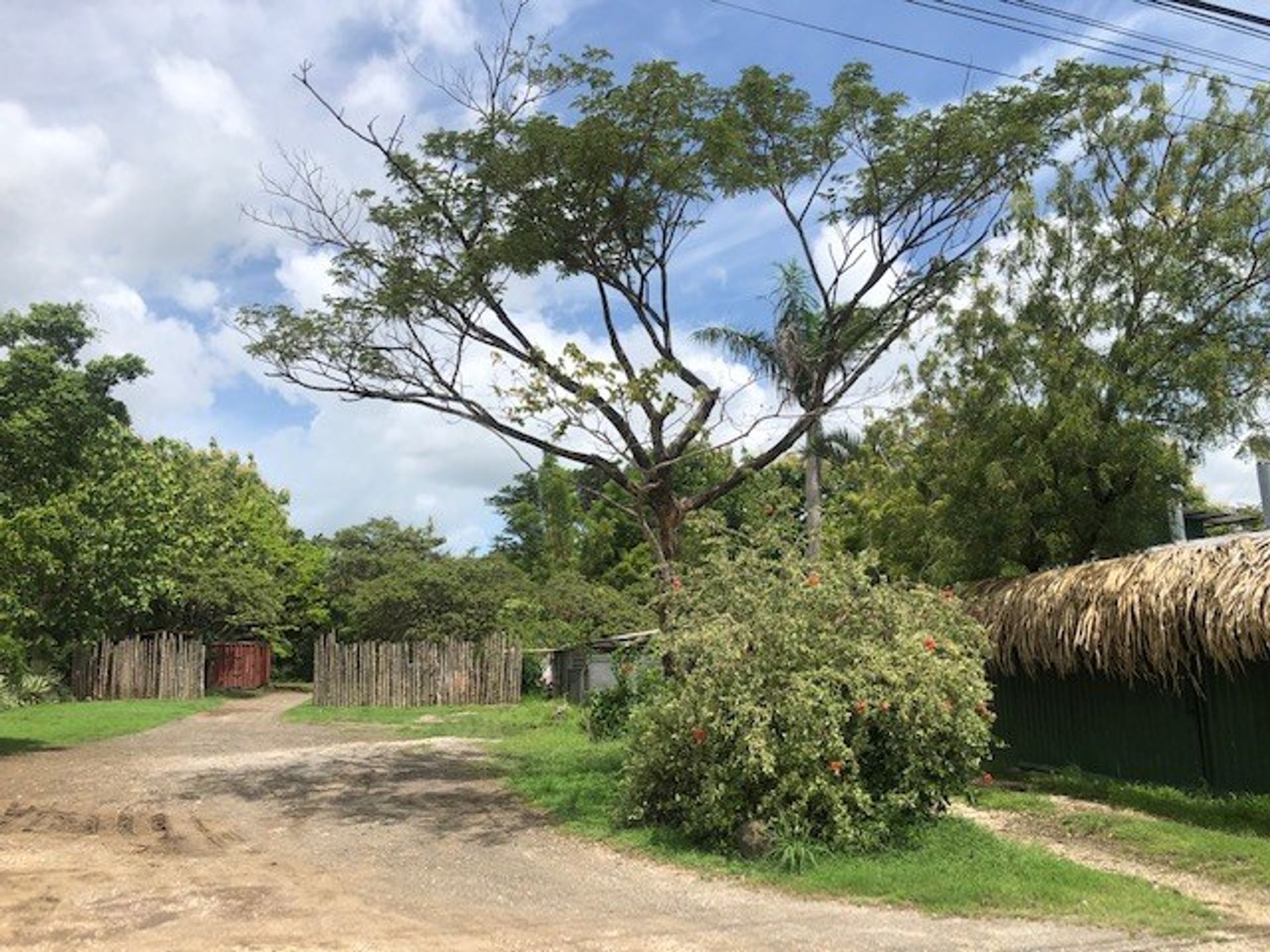 零售 在 GuardIa, LIberIa 10030839