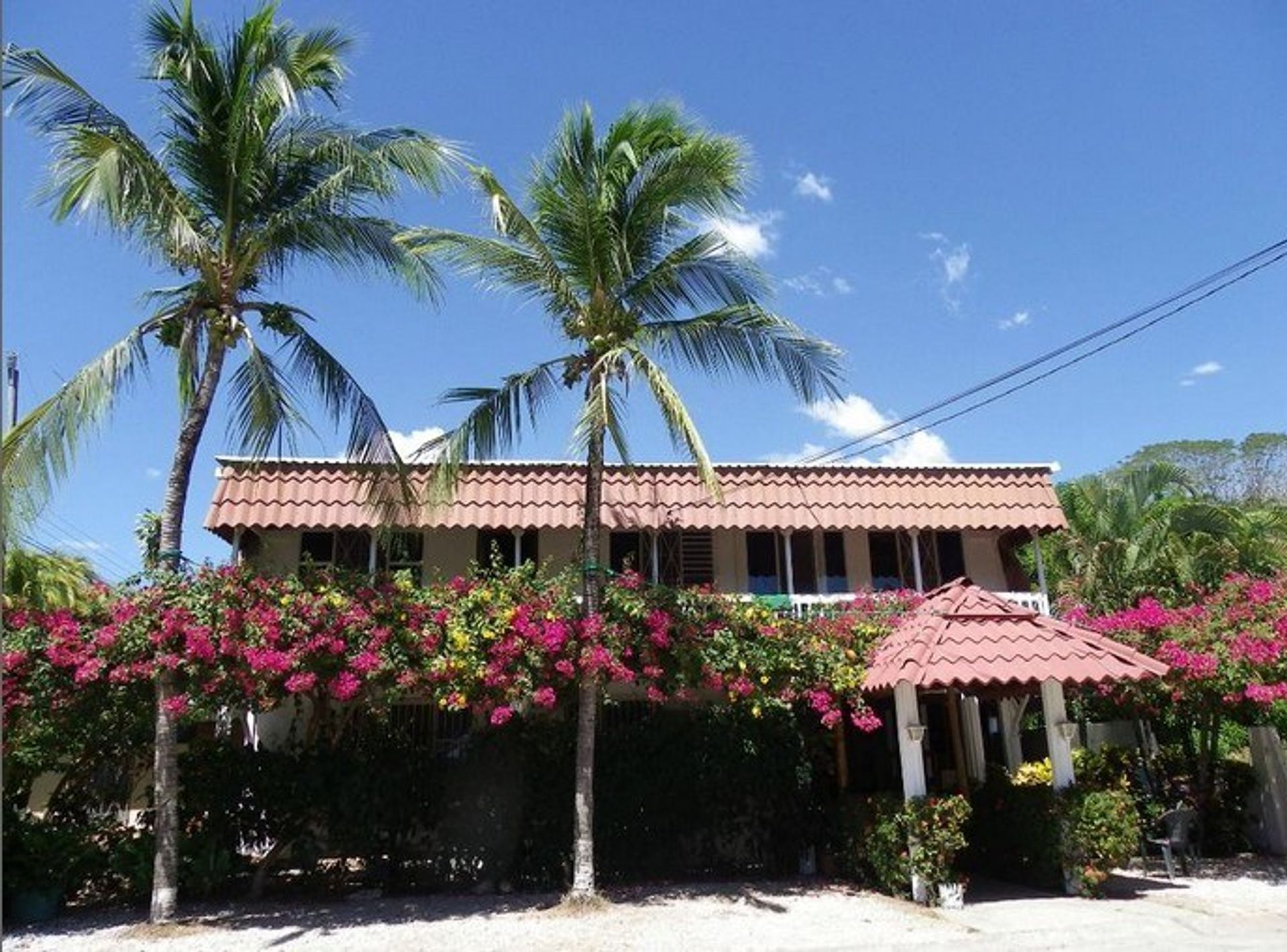 Pengecer di Tambor, Puntarenas 10030892