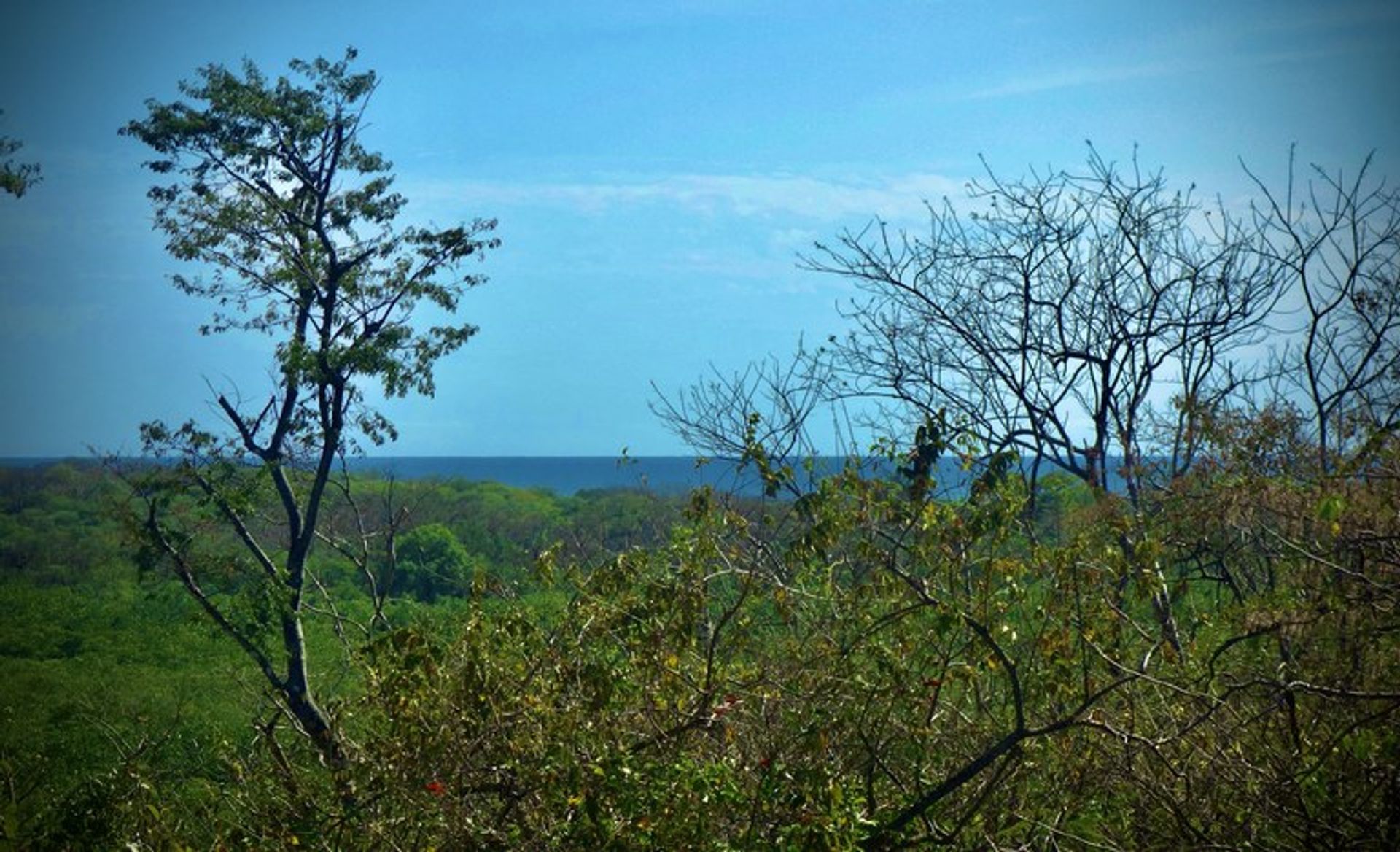 Huis in Playa TamarIndo, Santa Cruz 10031081