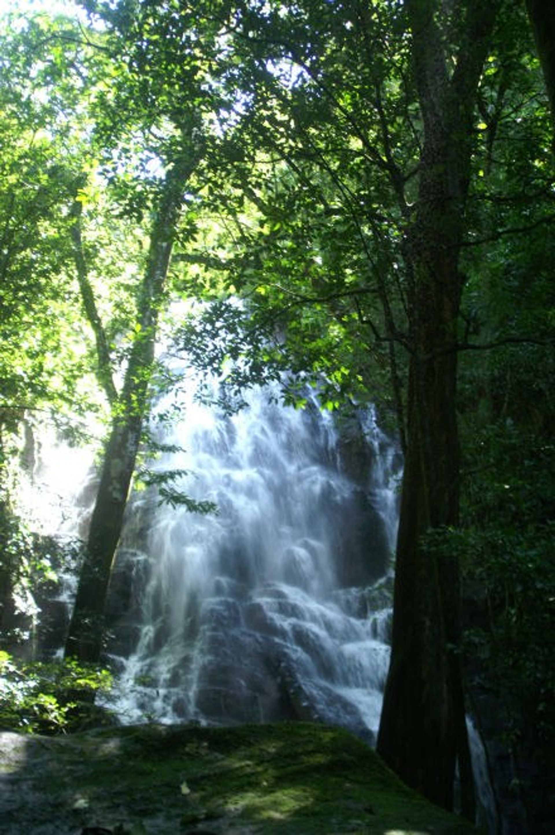 खुदरा में Curubande, LIberIa 10031341