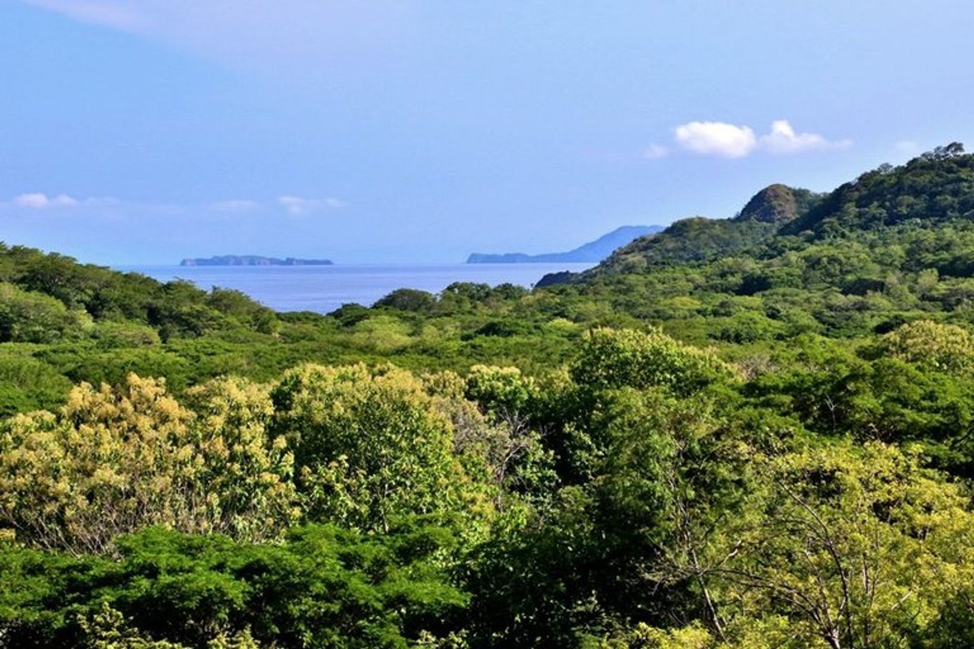 Eigentumswohnung im Ángeles, Guanacaste 10031468