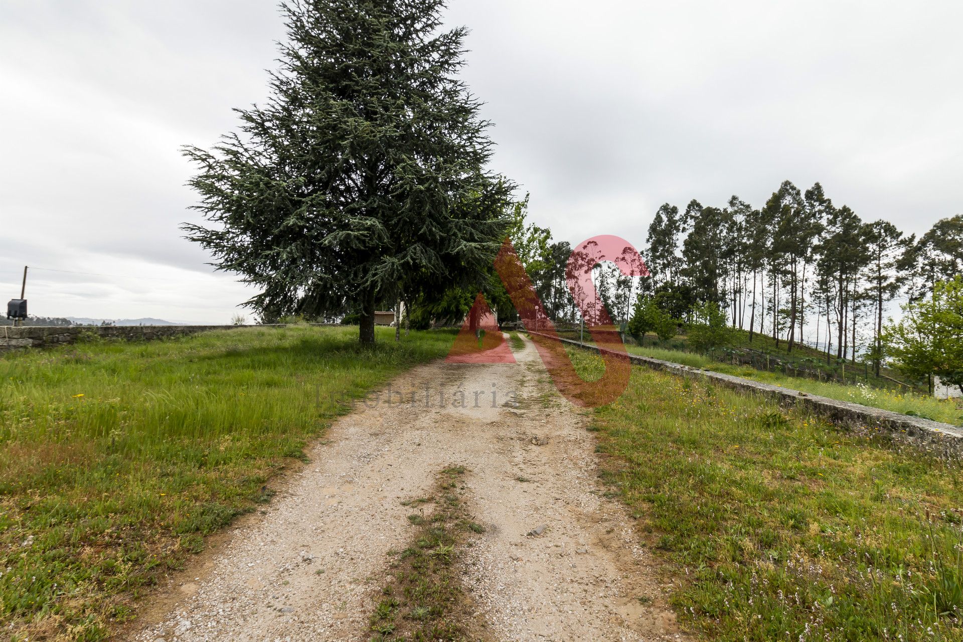 rumah dalam Felgueiras, Porto 10034171