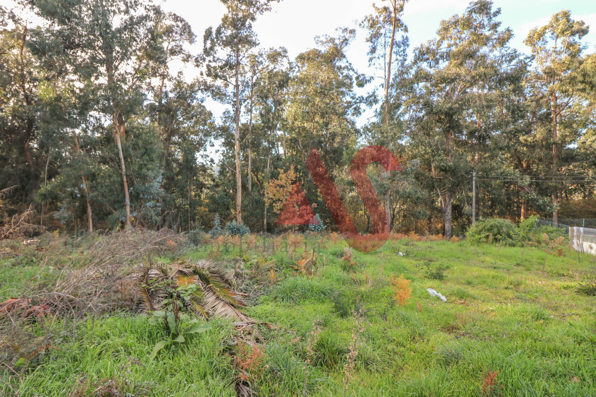 Land im Caldas de Vizela, Braga 10034180