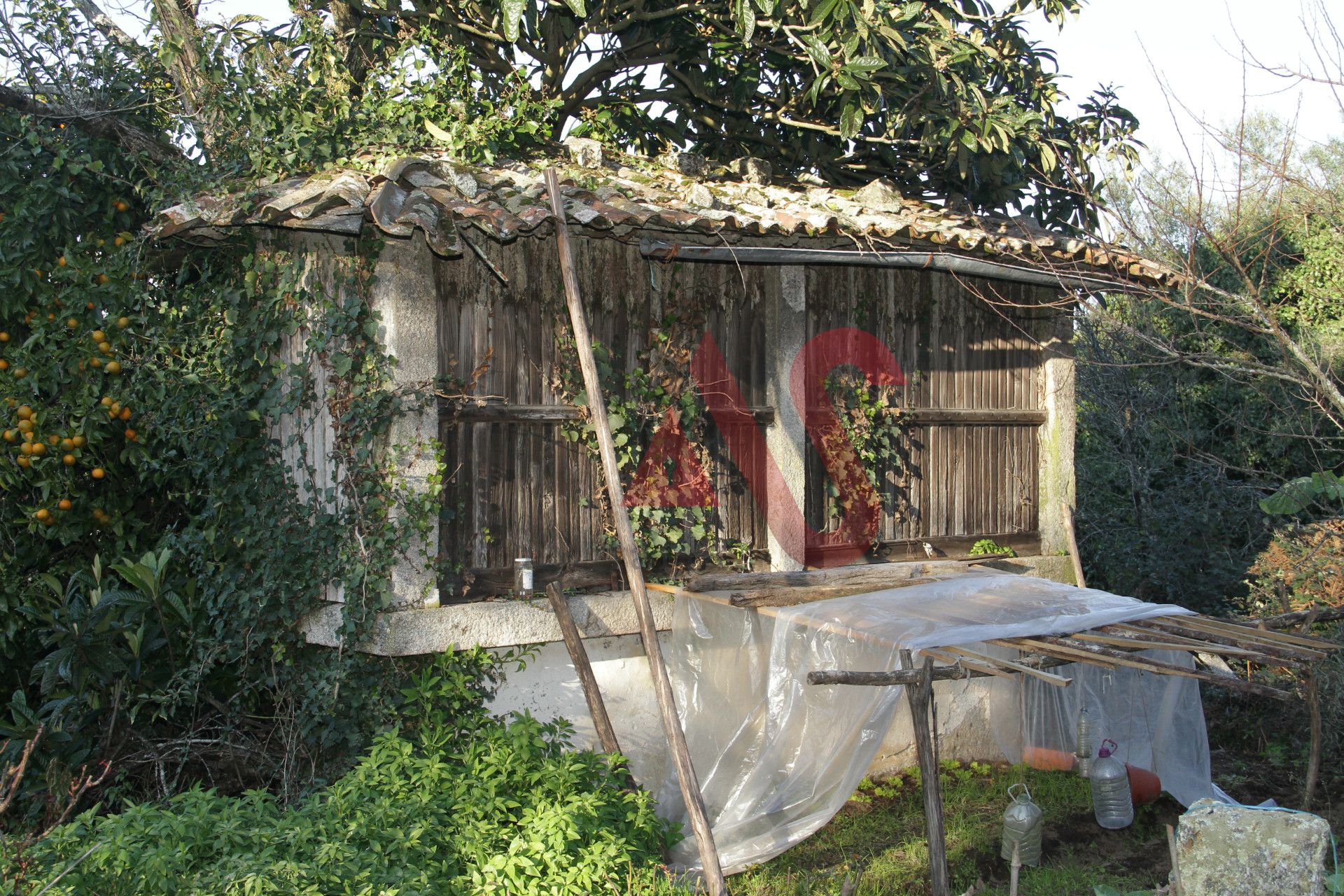 Casa nel Barcelós, Braga 10034351