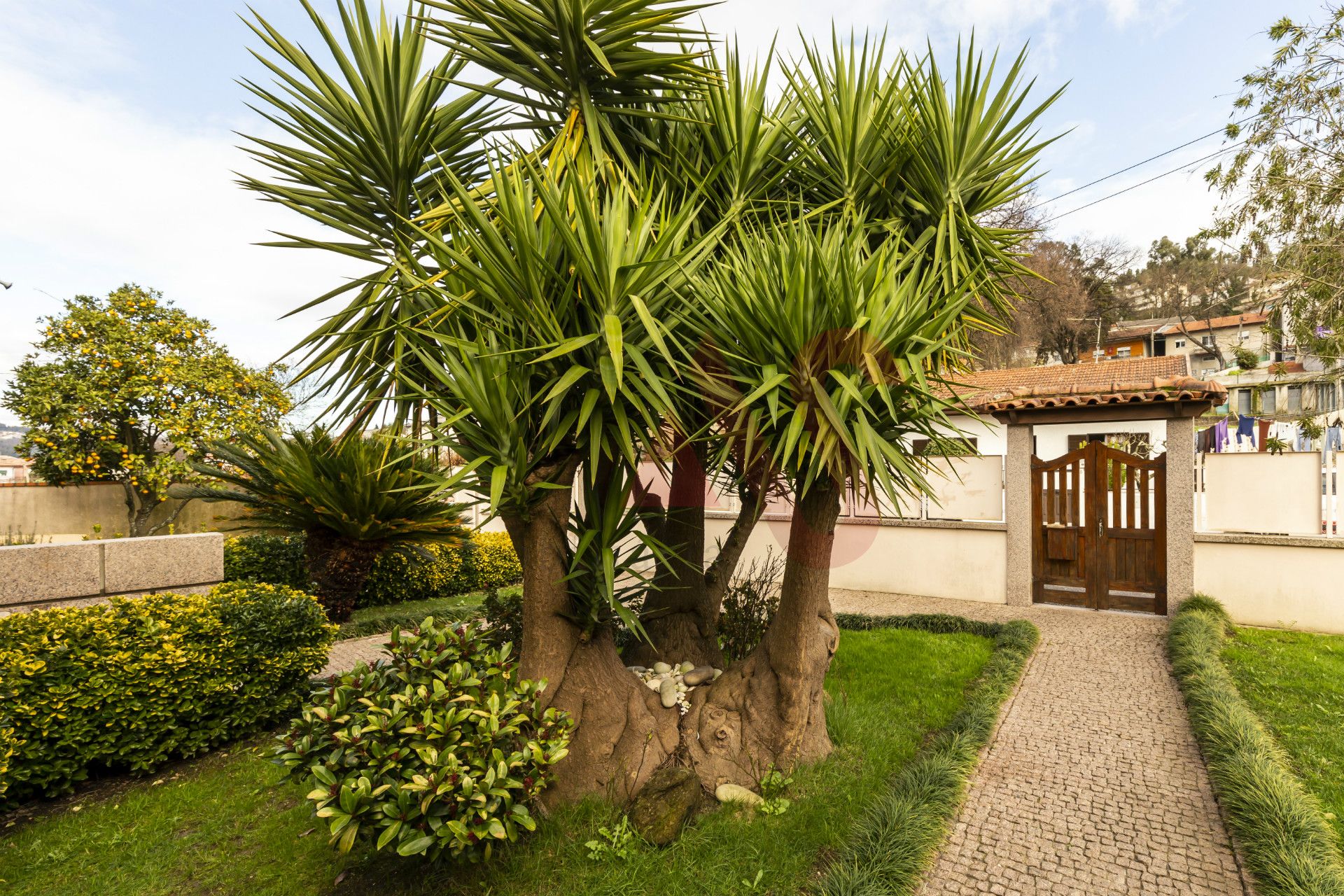 House in VIzela, Braga 10034359