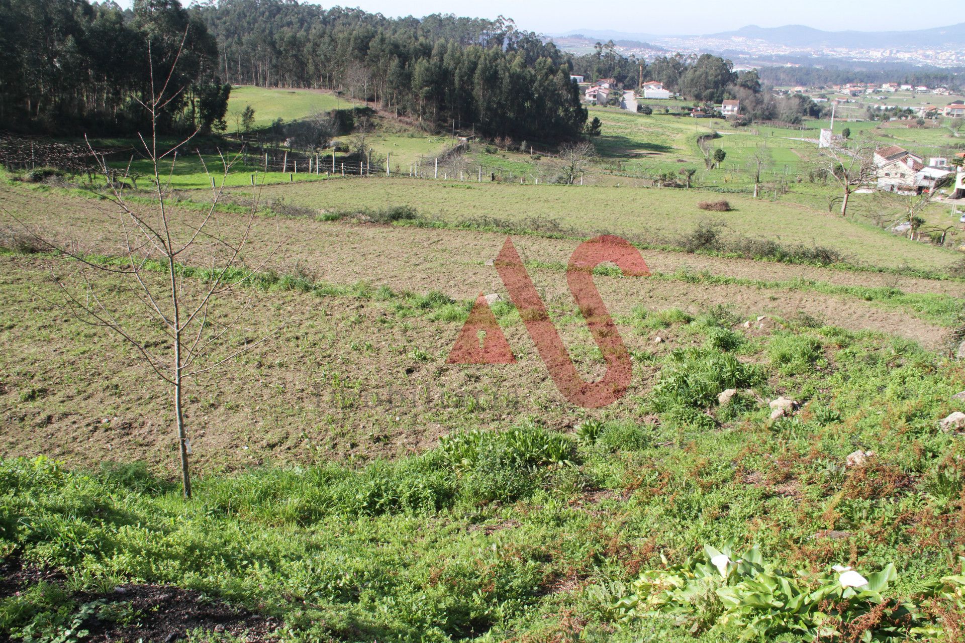 Land in Midoes, Braga 10034371