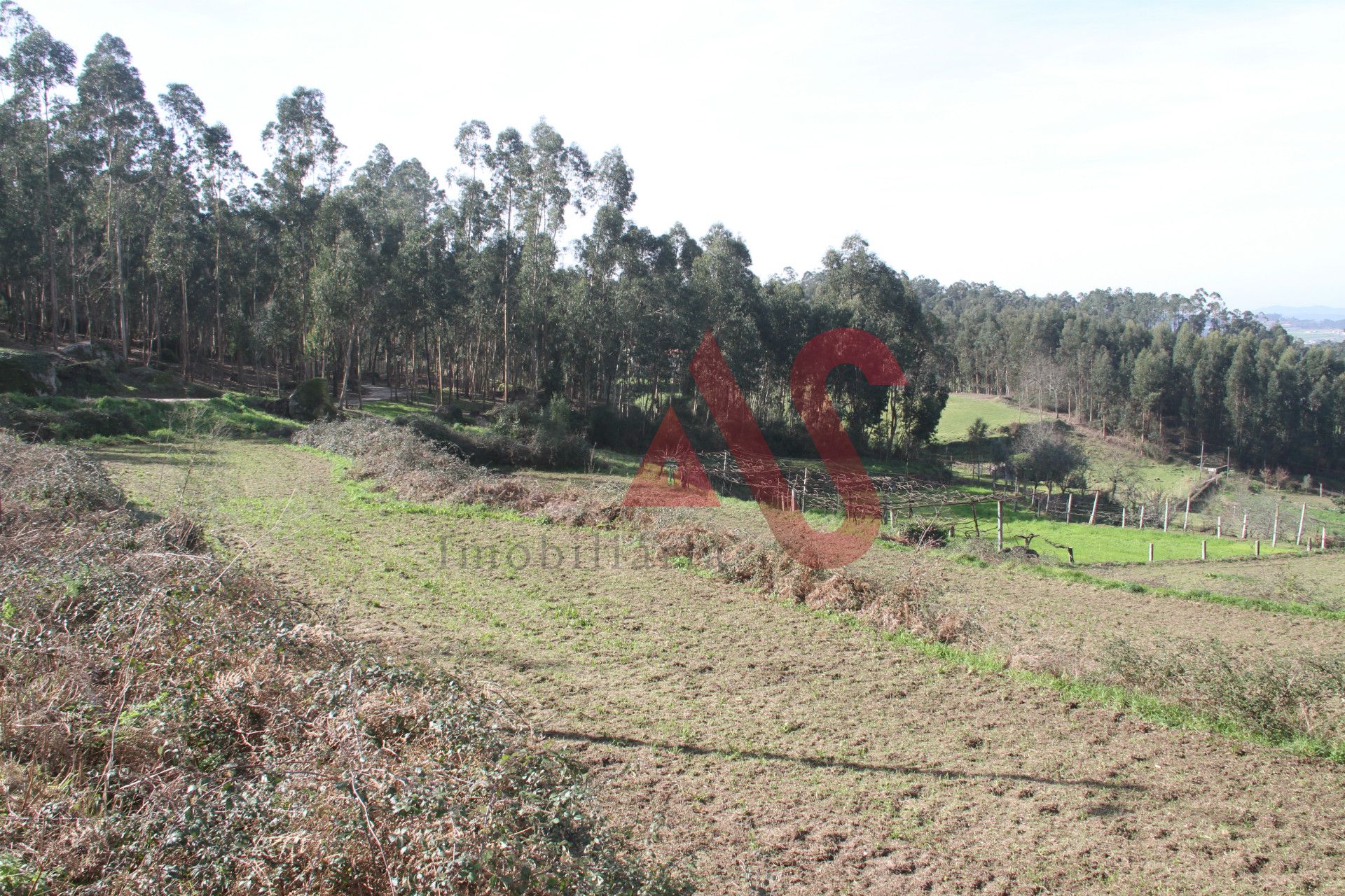 Land in Midoes, Braga 10034371