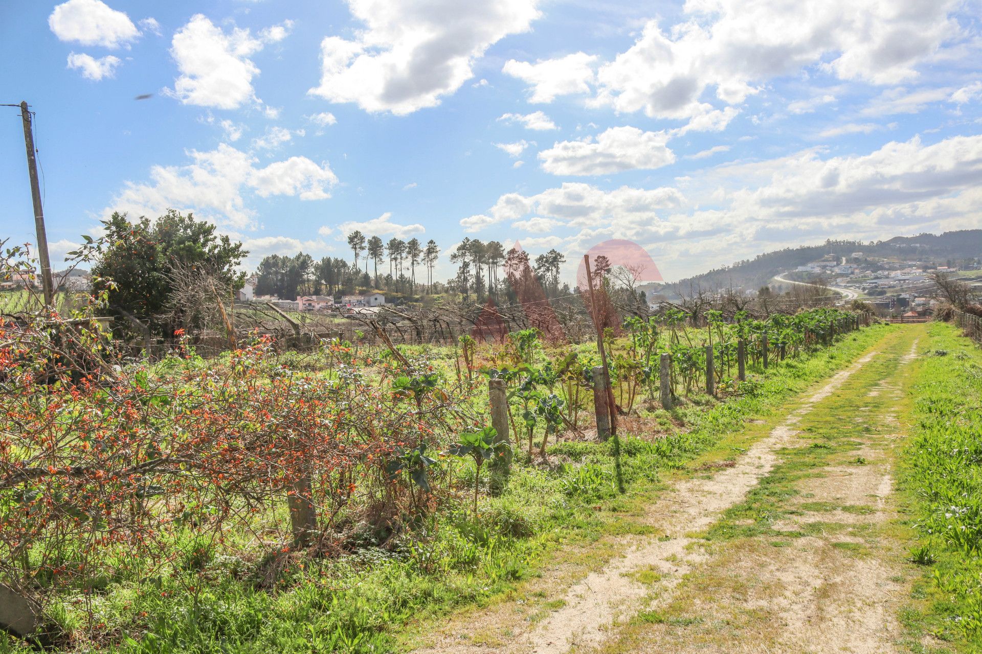 Huis in Lousada, Porto 10034377