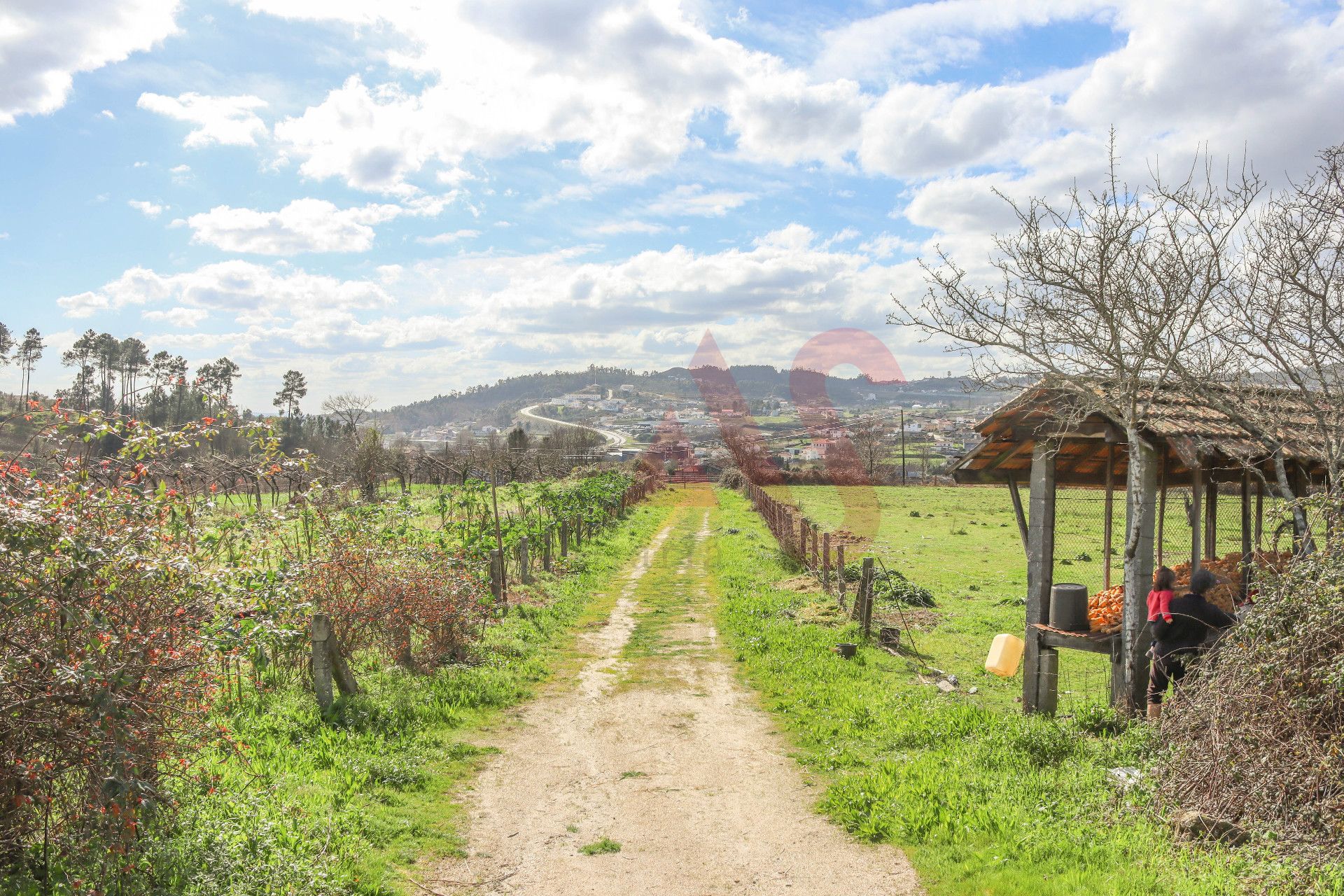 Huis in Lousada, Porto 10034377