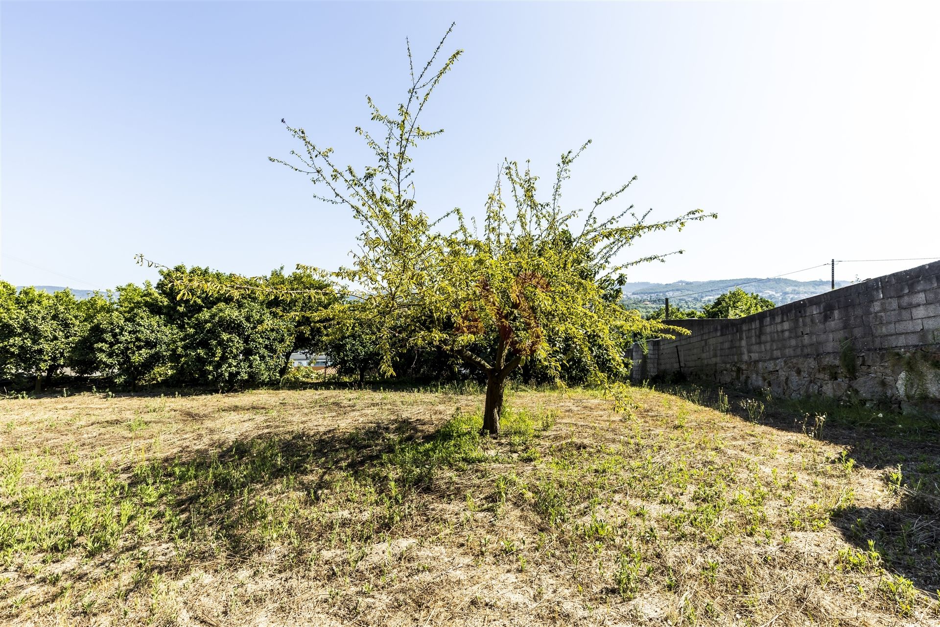 rumah dalam GuImaraes, Braga 10034381