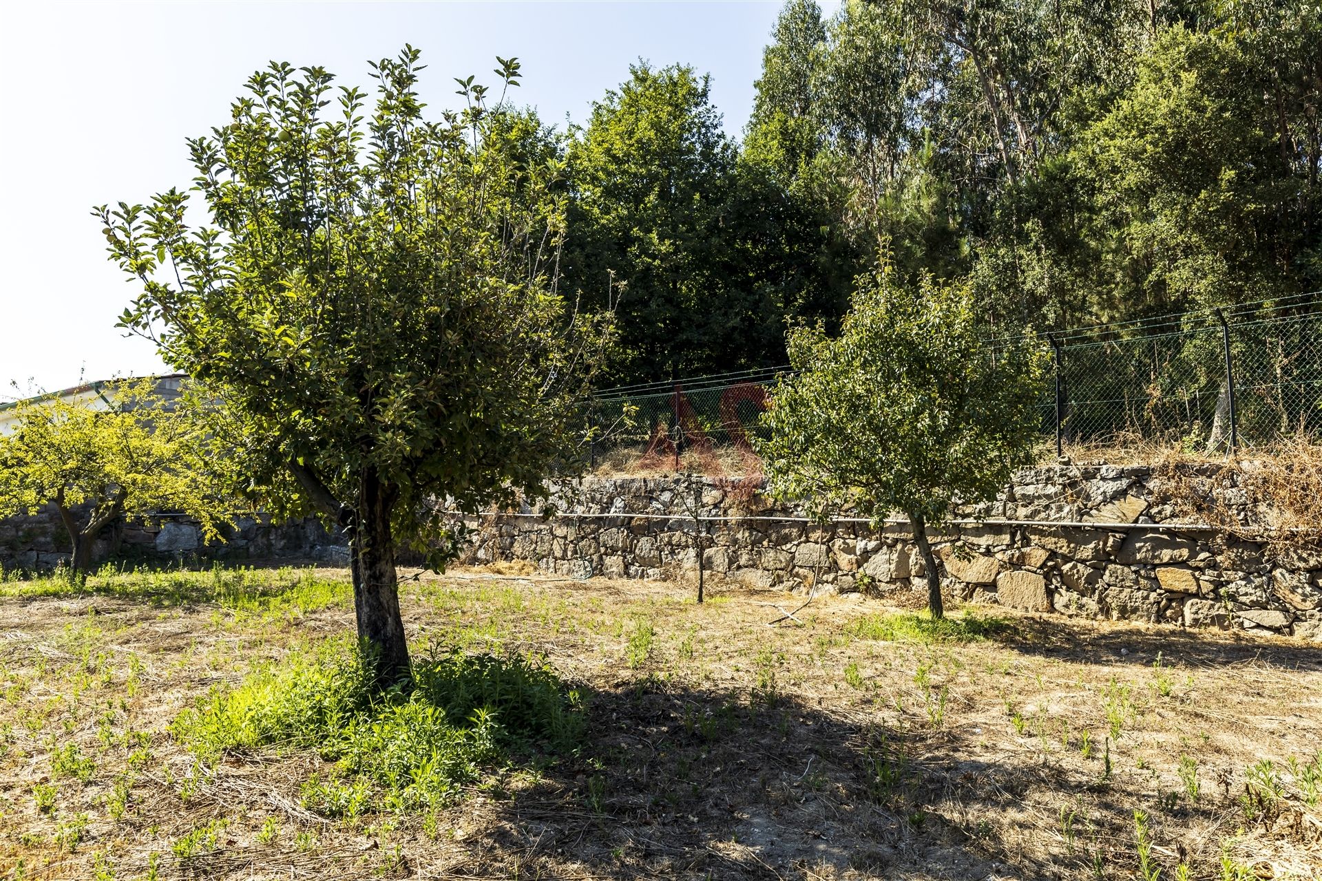 rumah dalam GuImaraes, Braga 10034381