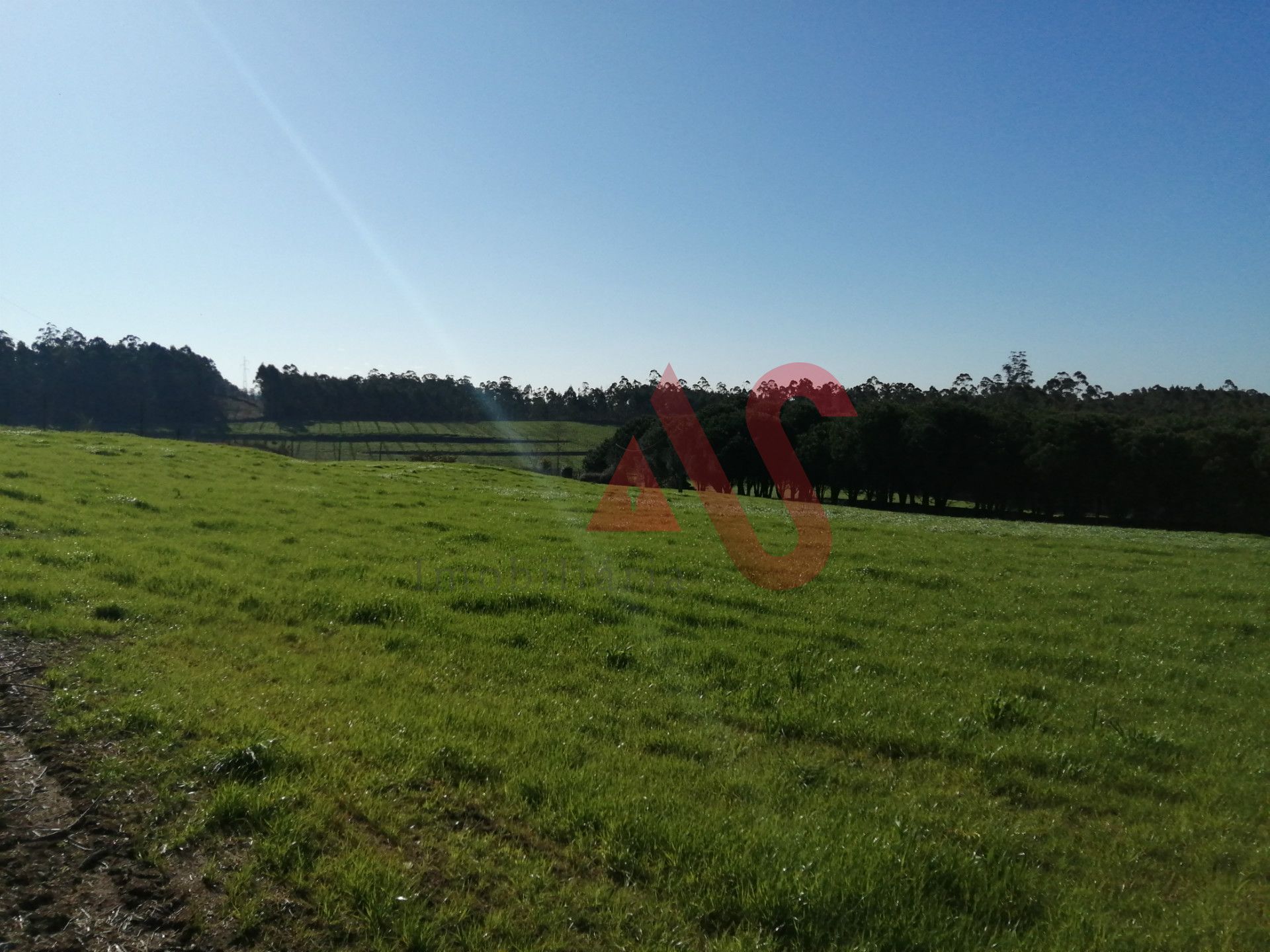 Land in Barcelos, Braga 10034383