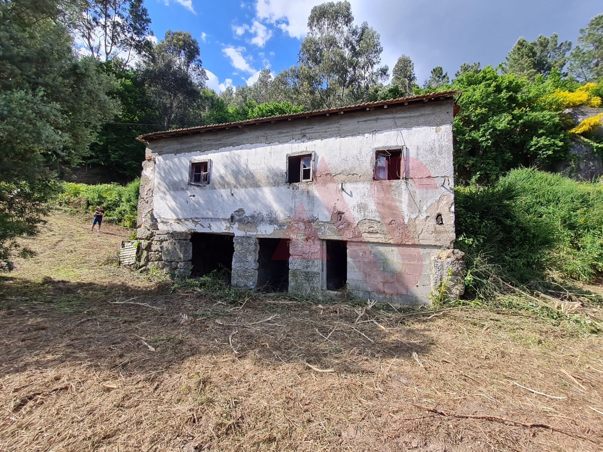 Rumah di CelorIco De Basto, Braga 10034428