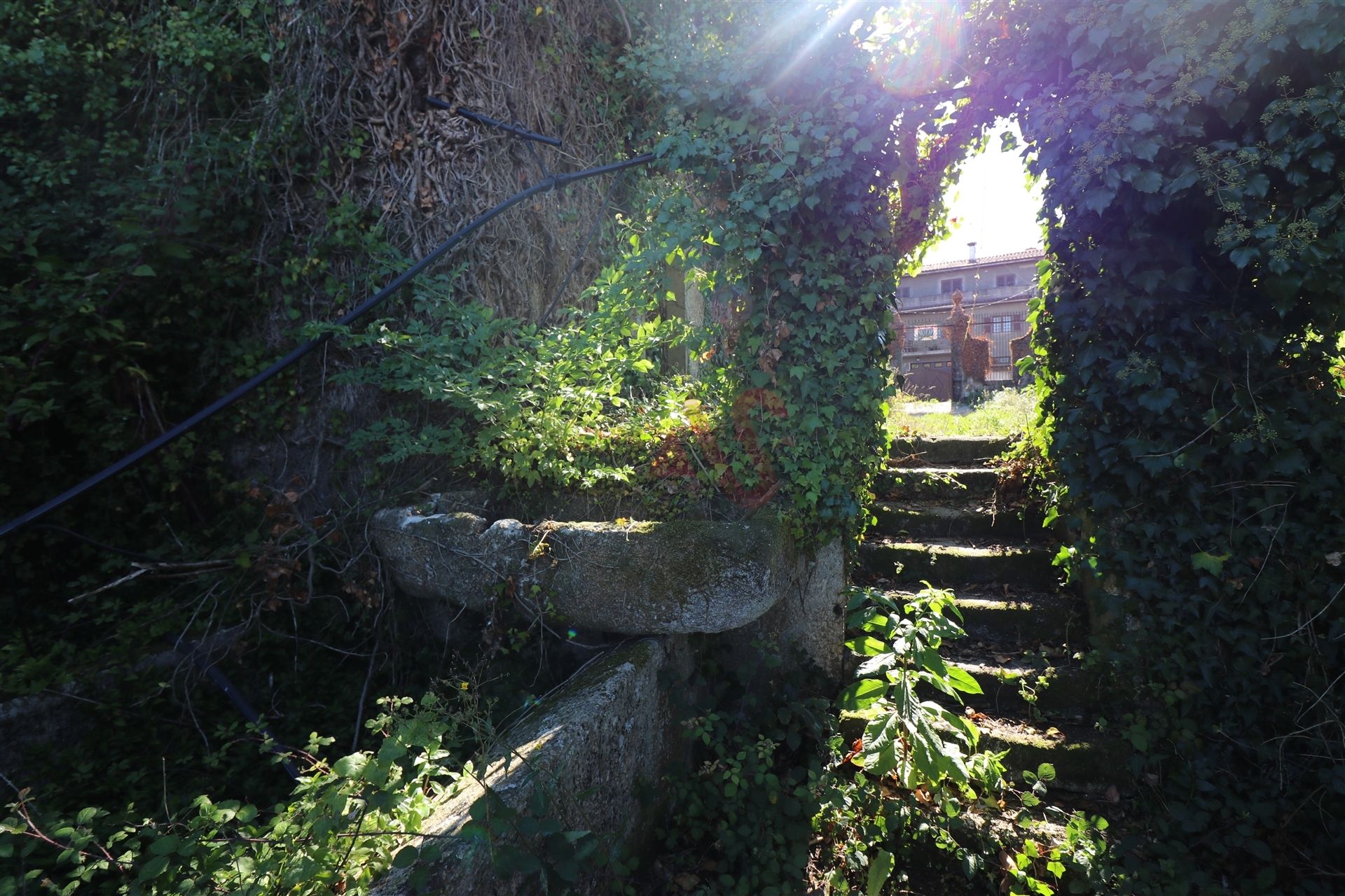 House in Pacos De FerreIra, Porto 10034680