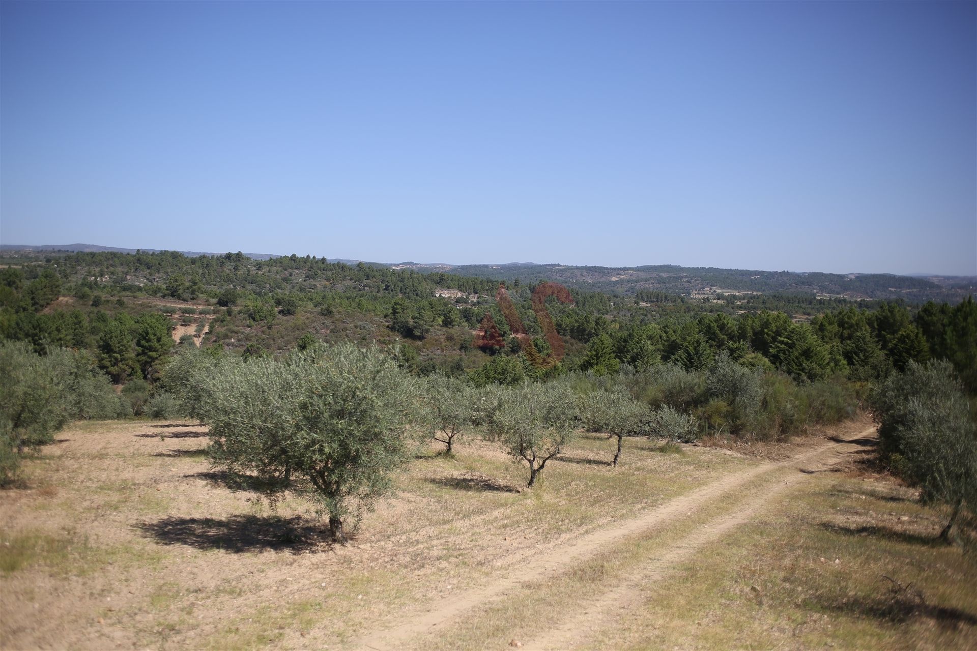 Tierra en MIrandela, Braganca 10034682