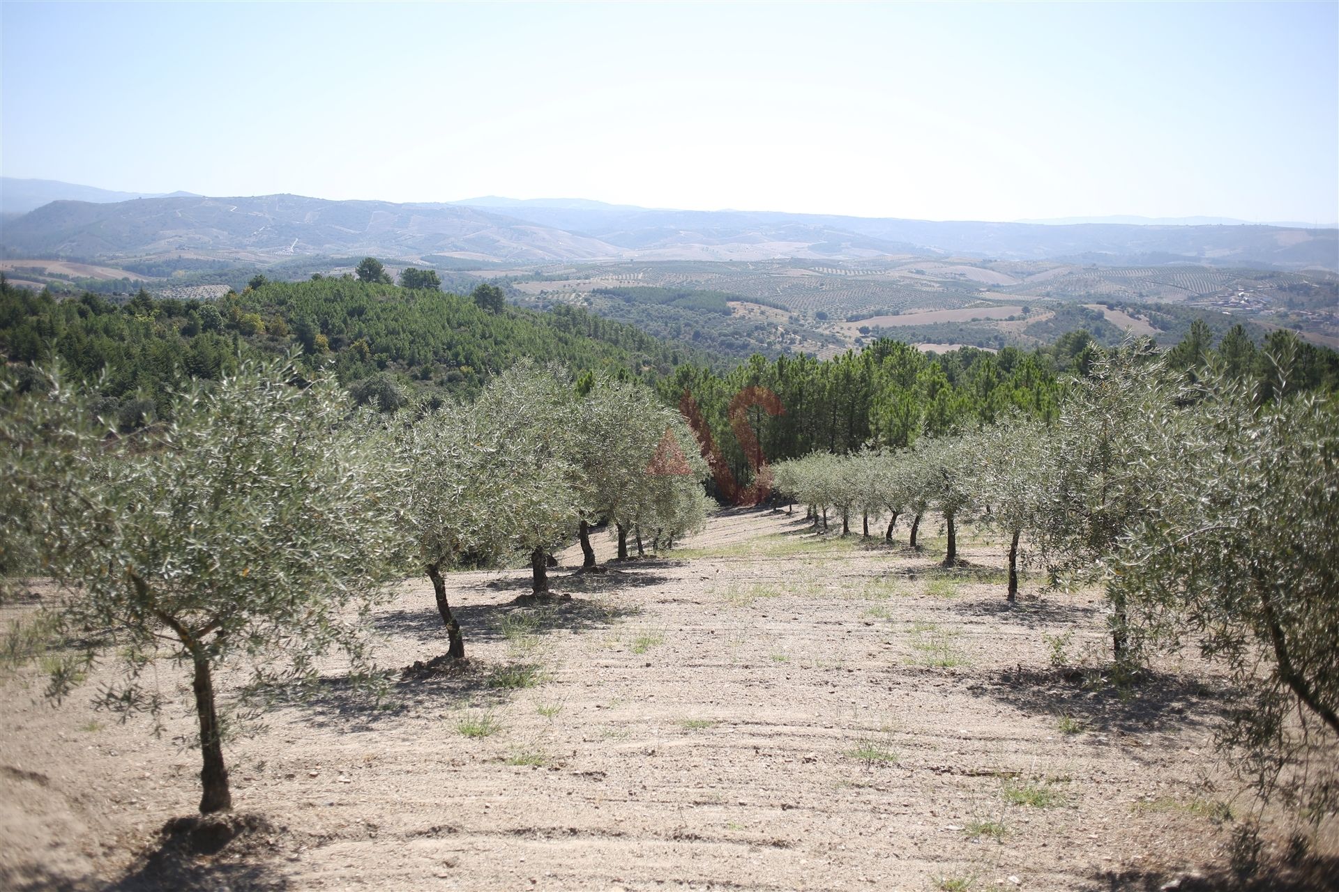 Land in MIrandela, Braganca 10034682