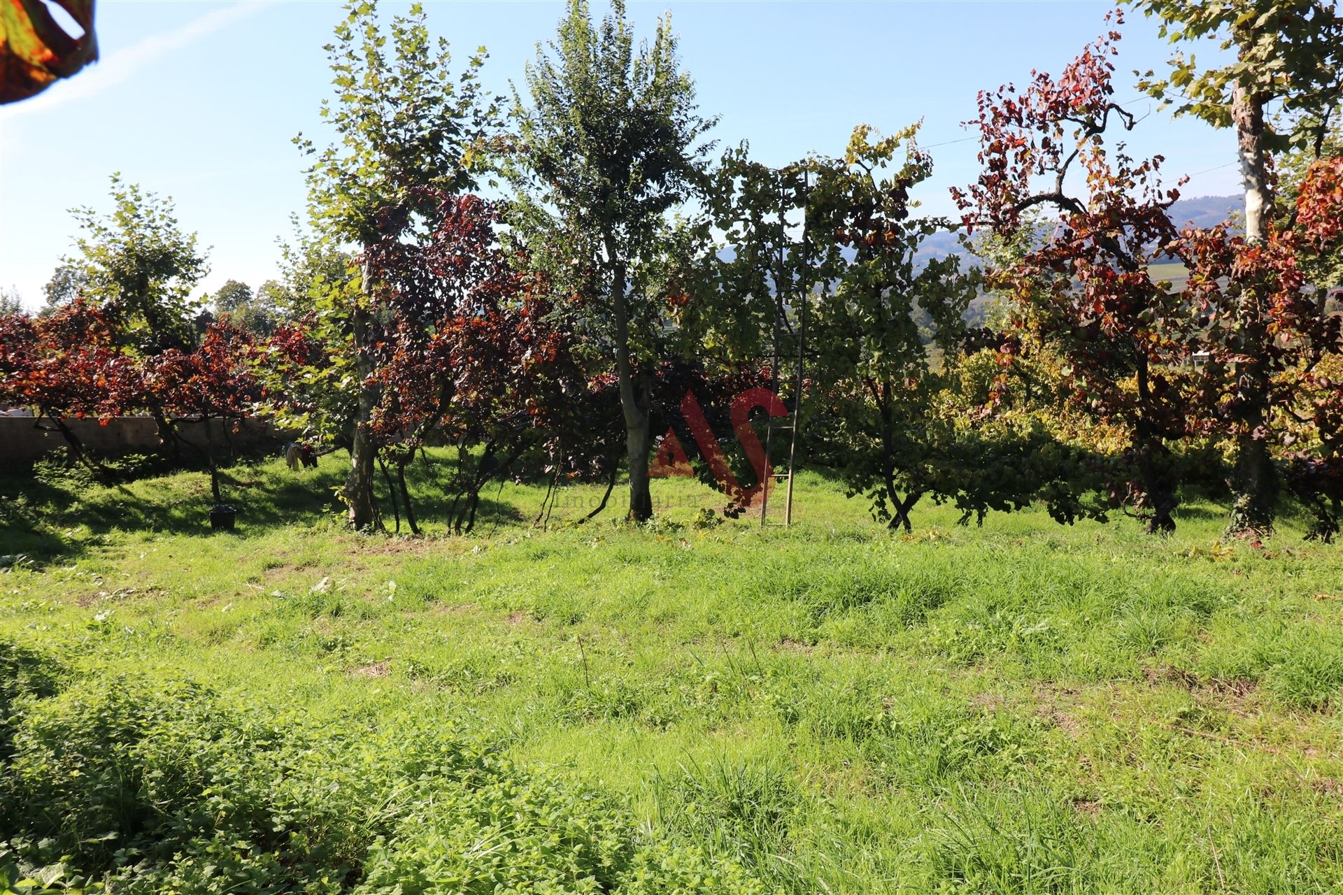 بيت في FelgueIras, Porto 10034689