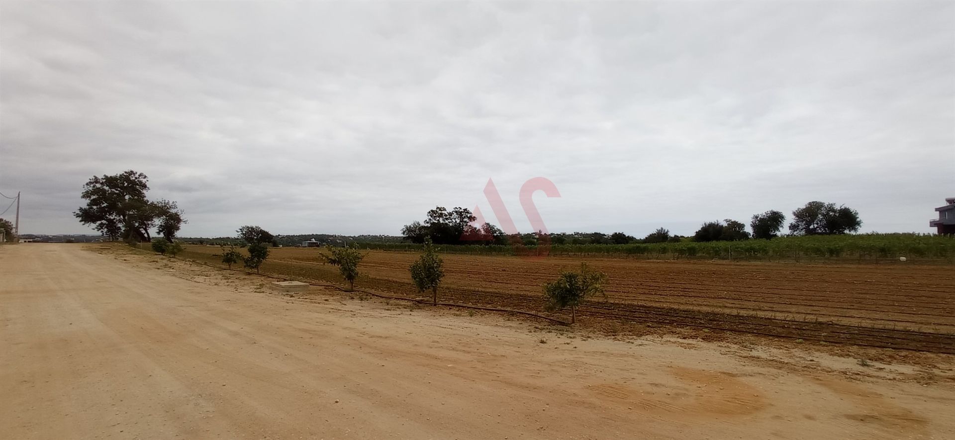 жилой дом в AlbufeIra, Faro 10034721