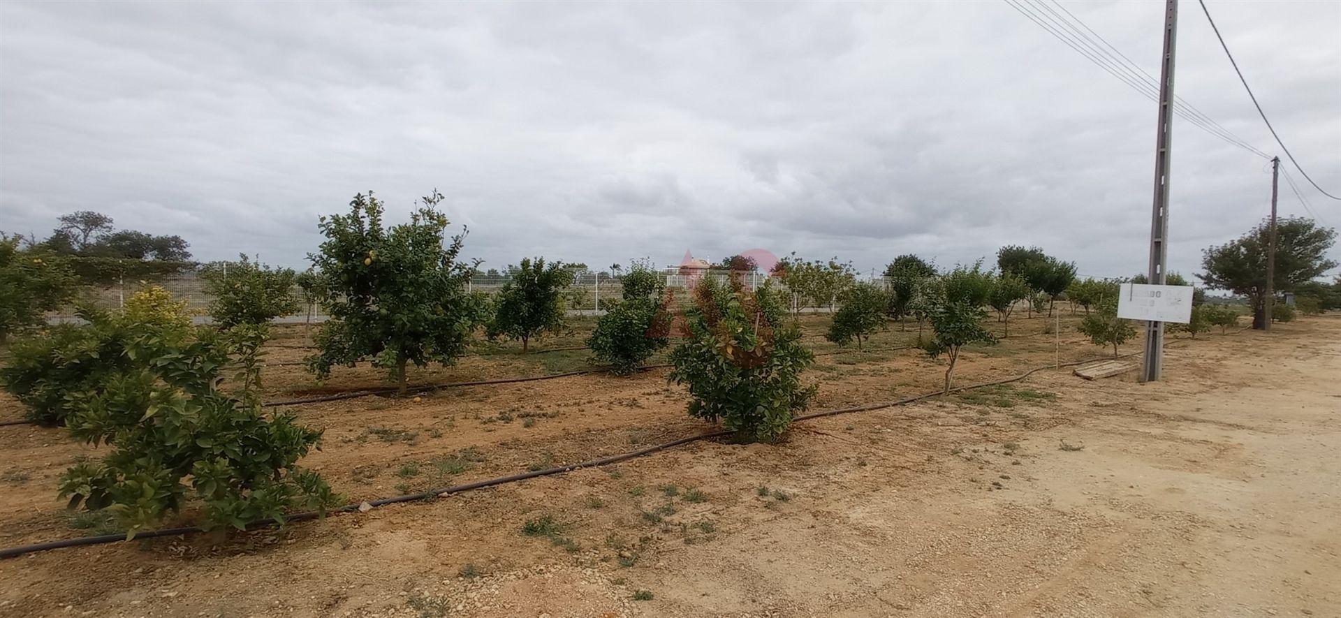 Κατοικητικός σε AlbufeIra, Faro 10034721