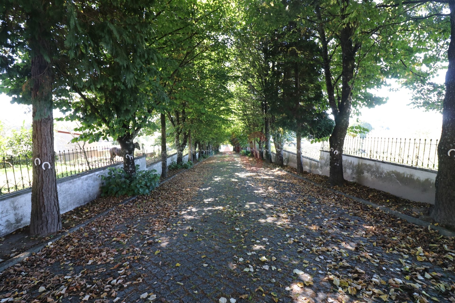 Casa nel OlIveIra Do HospItal, CoImbra 10034726