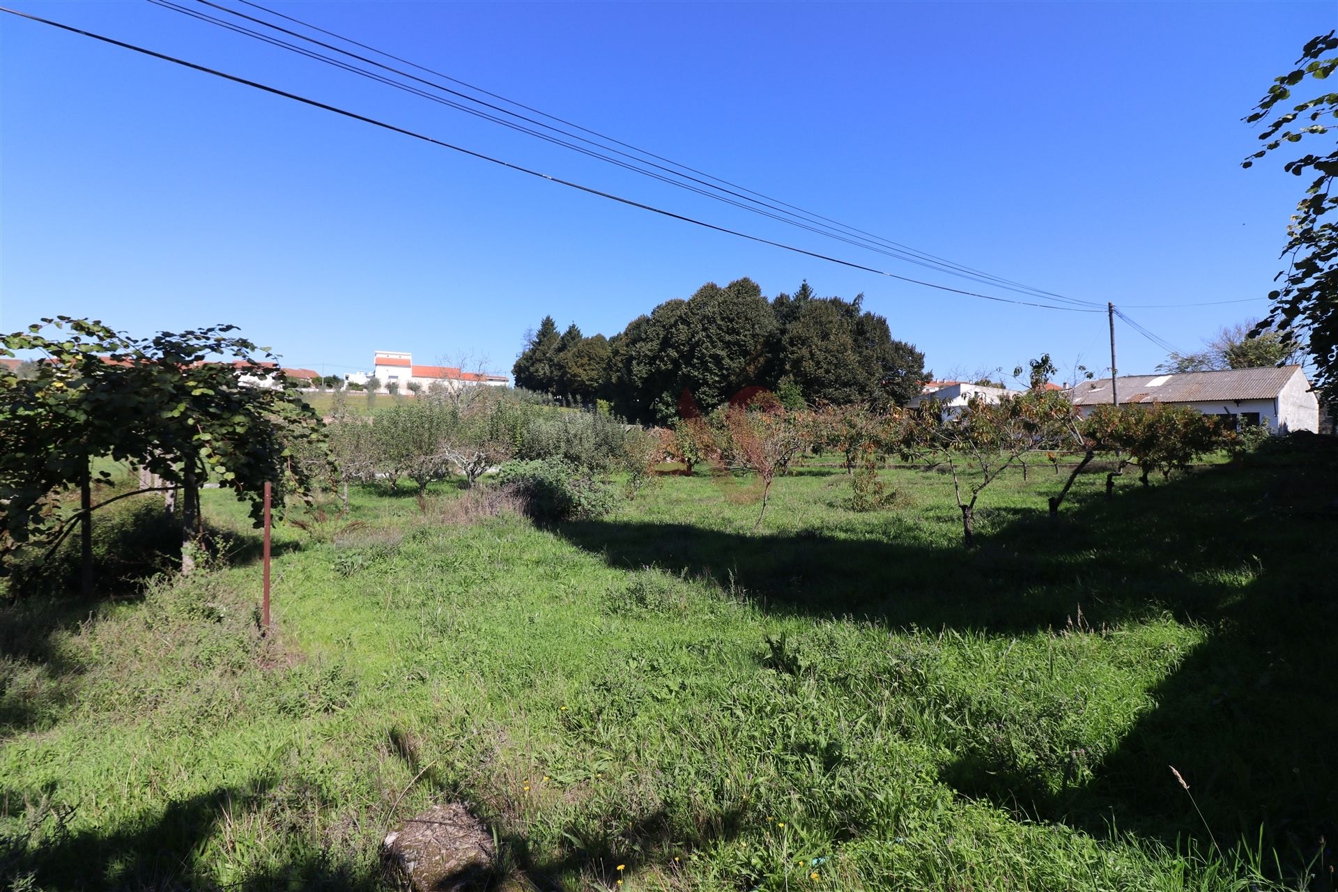 Casa nel OlIveIra Do HospItal, CoImbra 10034726