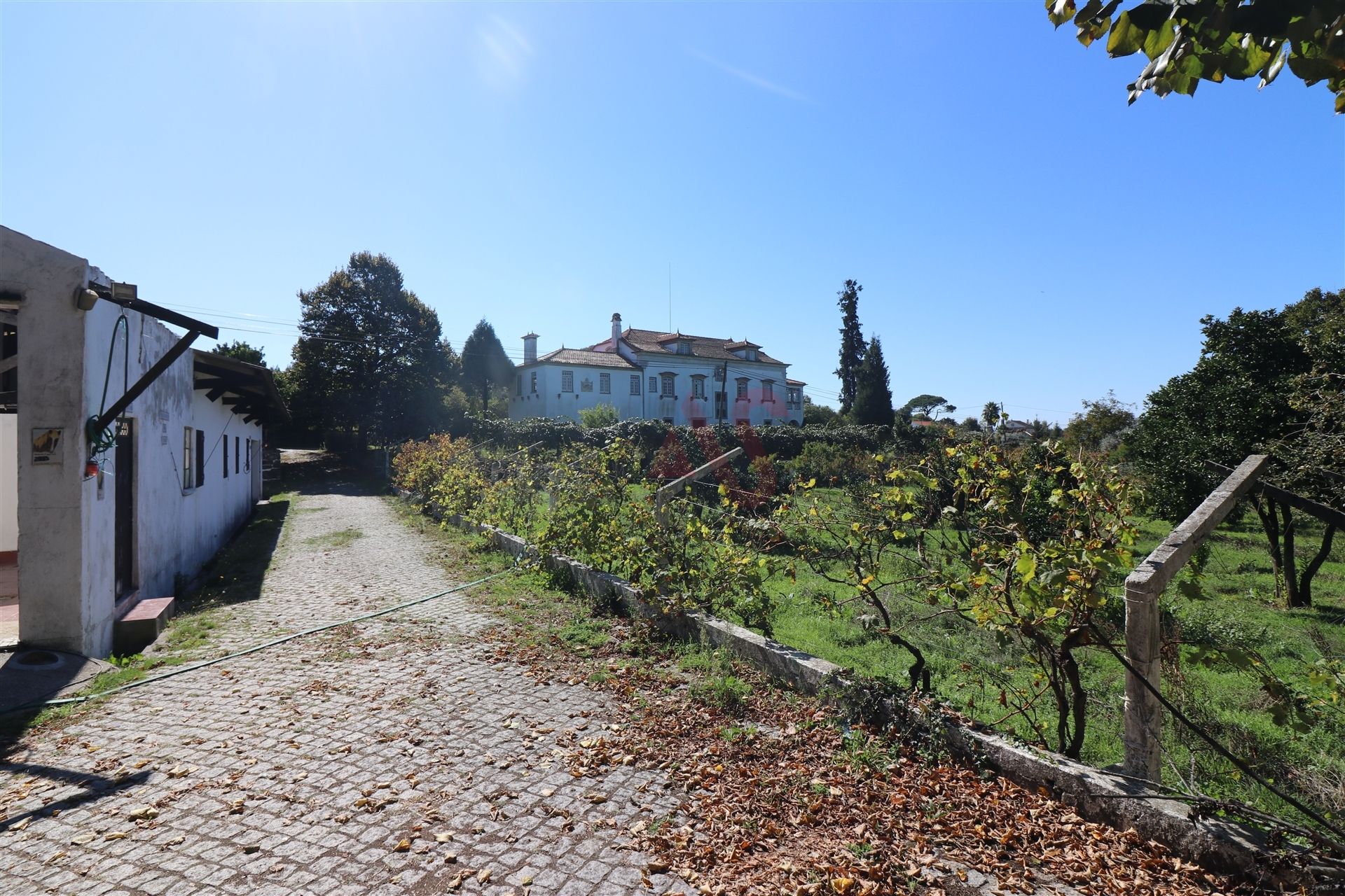 Casa nel OlIveIra Do HospItal, CoImbra 10034726