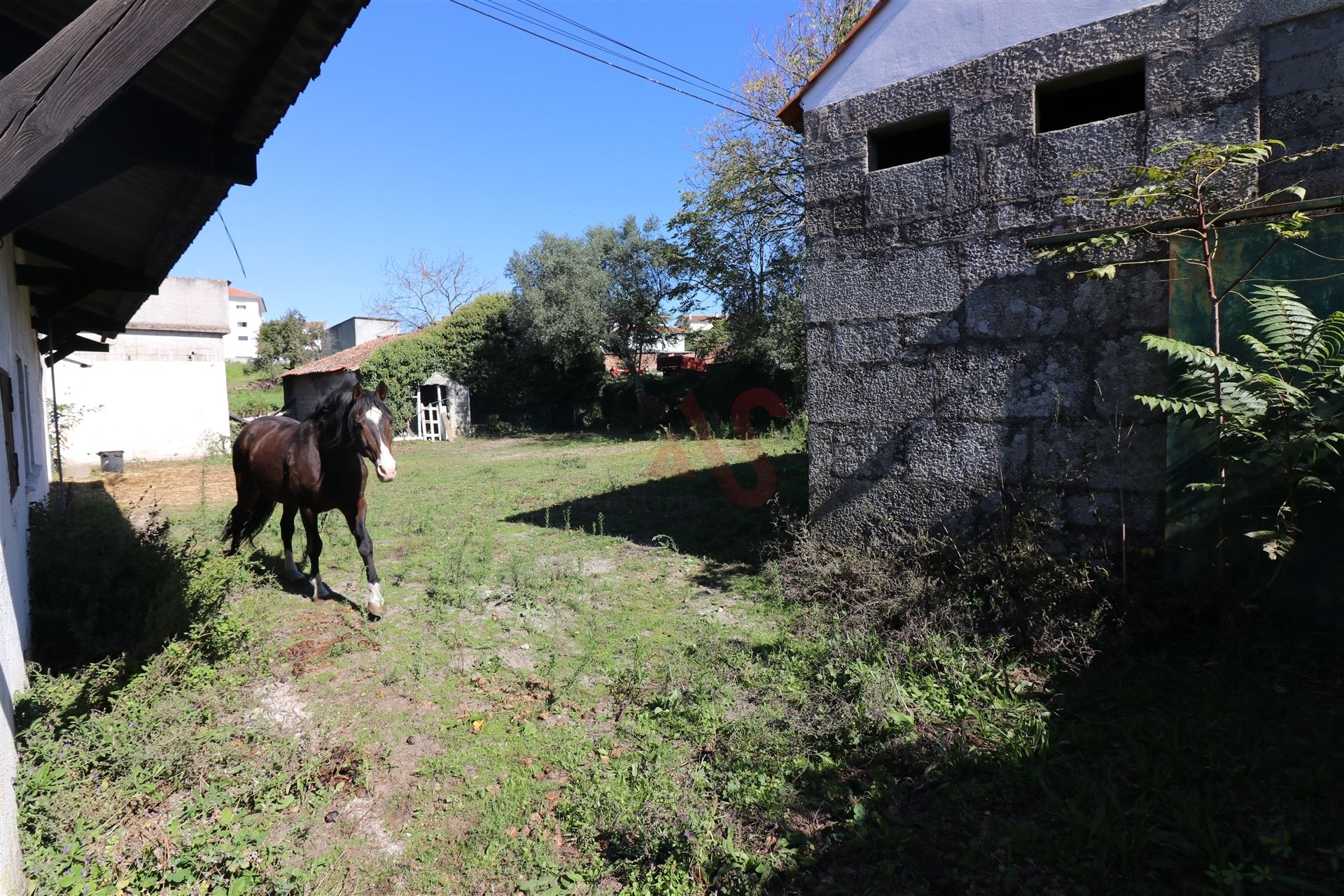 Hus i OlIveIra Do HospItal, CoImbra 10034726