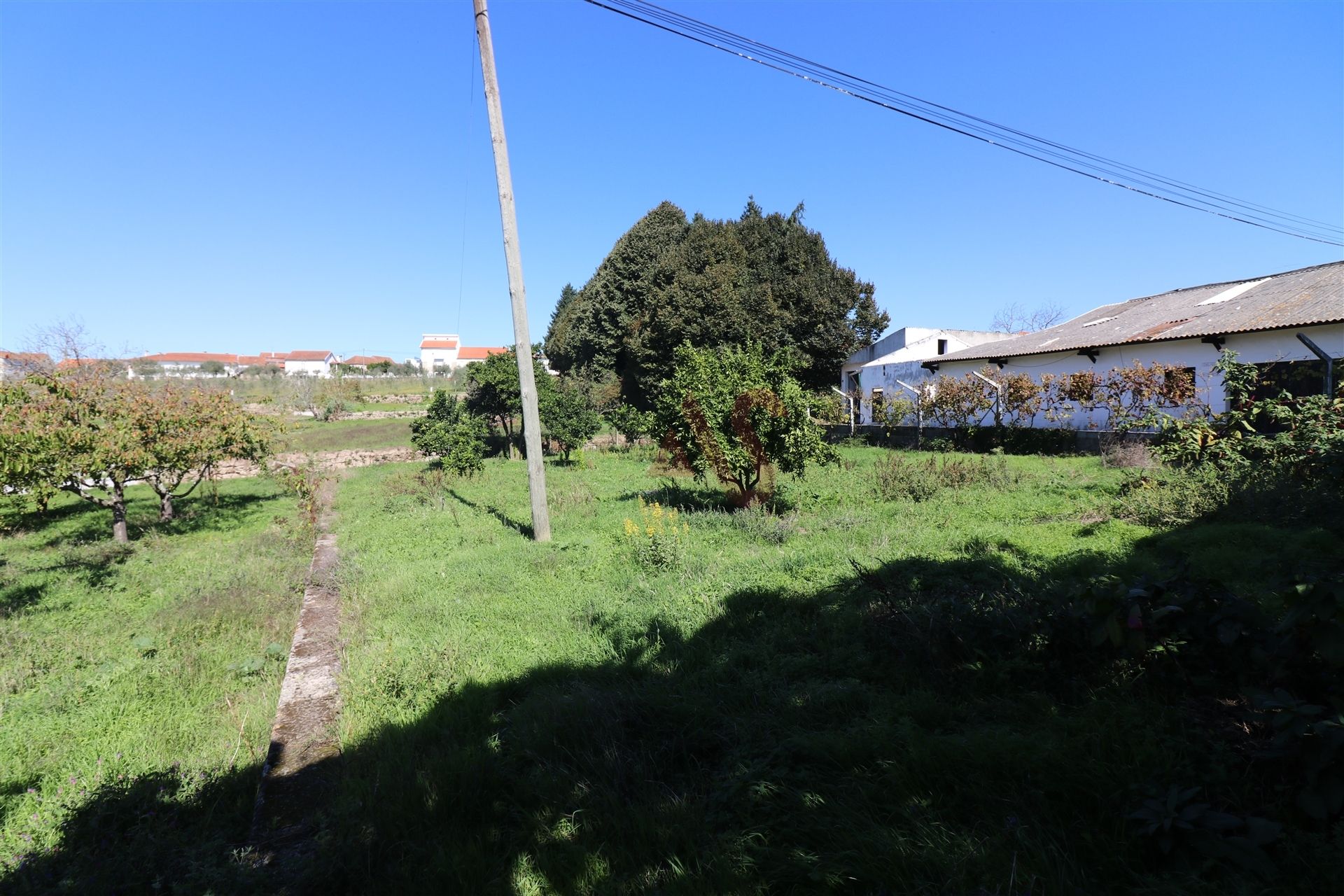 Casa nel OlIveIra Do HospItal, CoImbra 10034726