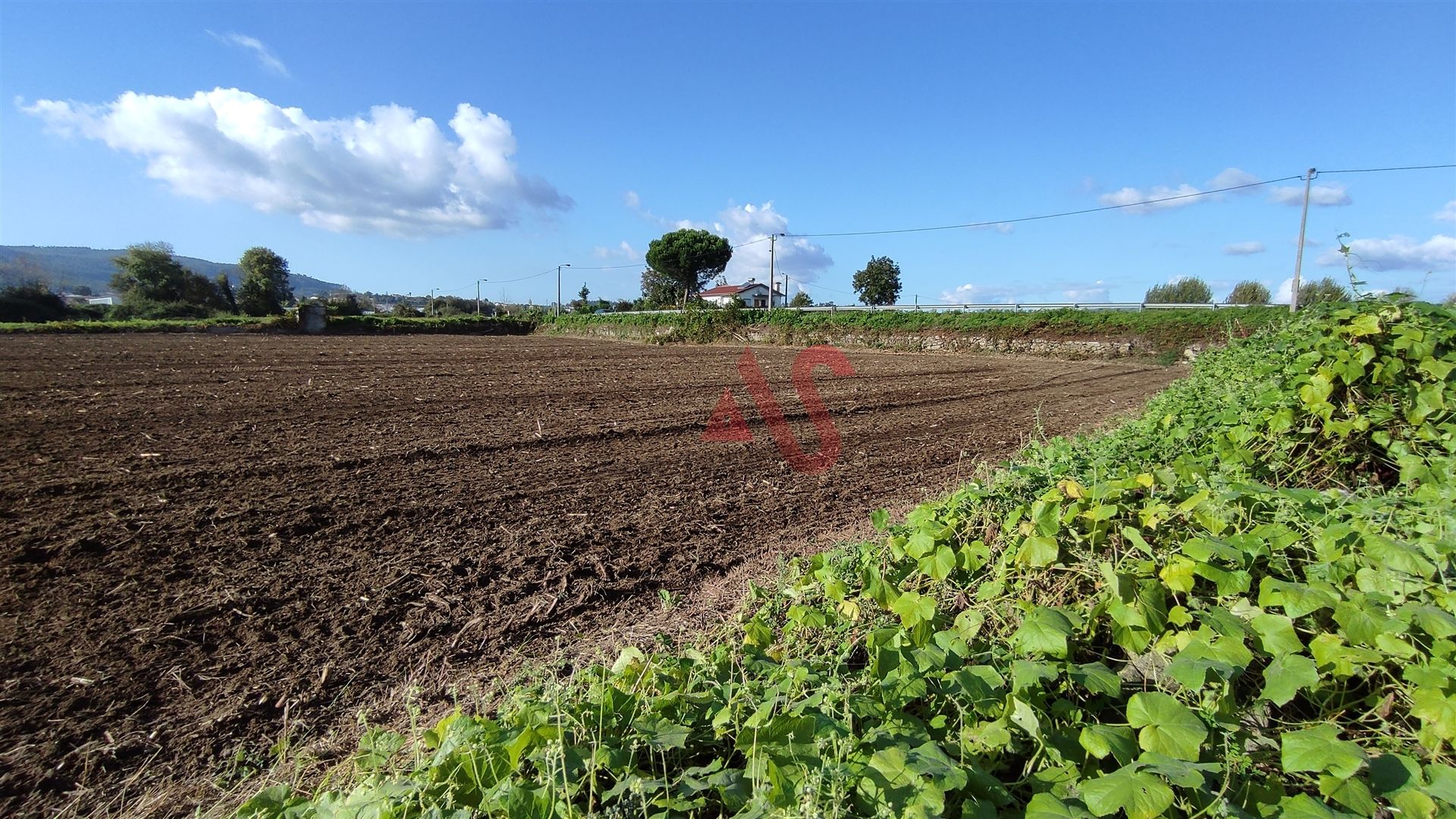 Land in Rorigo, Braga 10034781