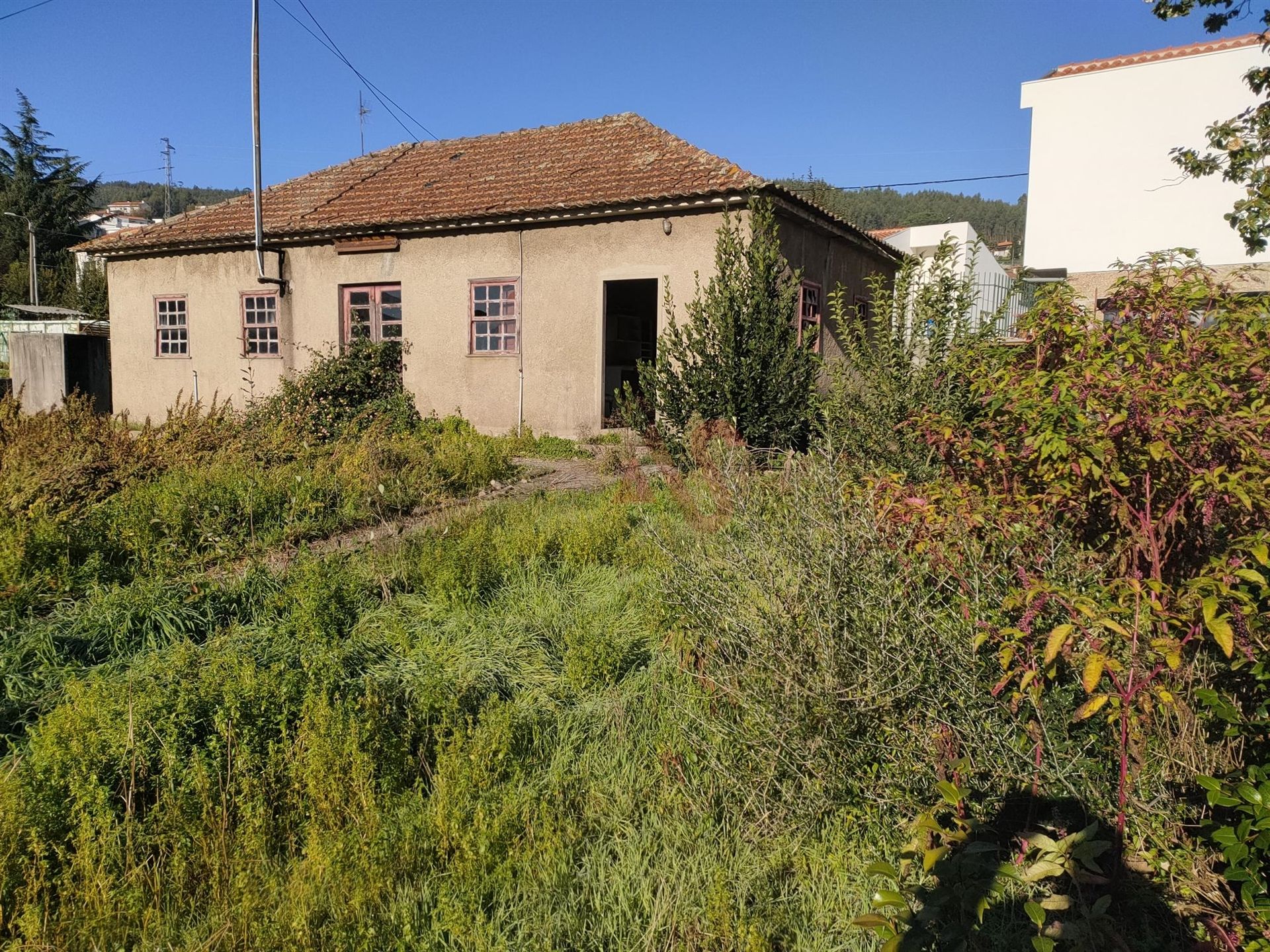 Haus im Covas, Braga 10034803