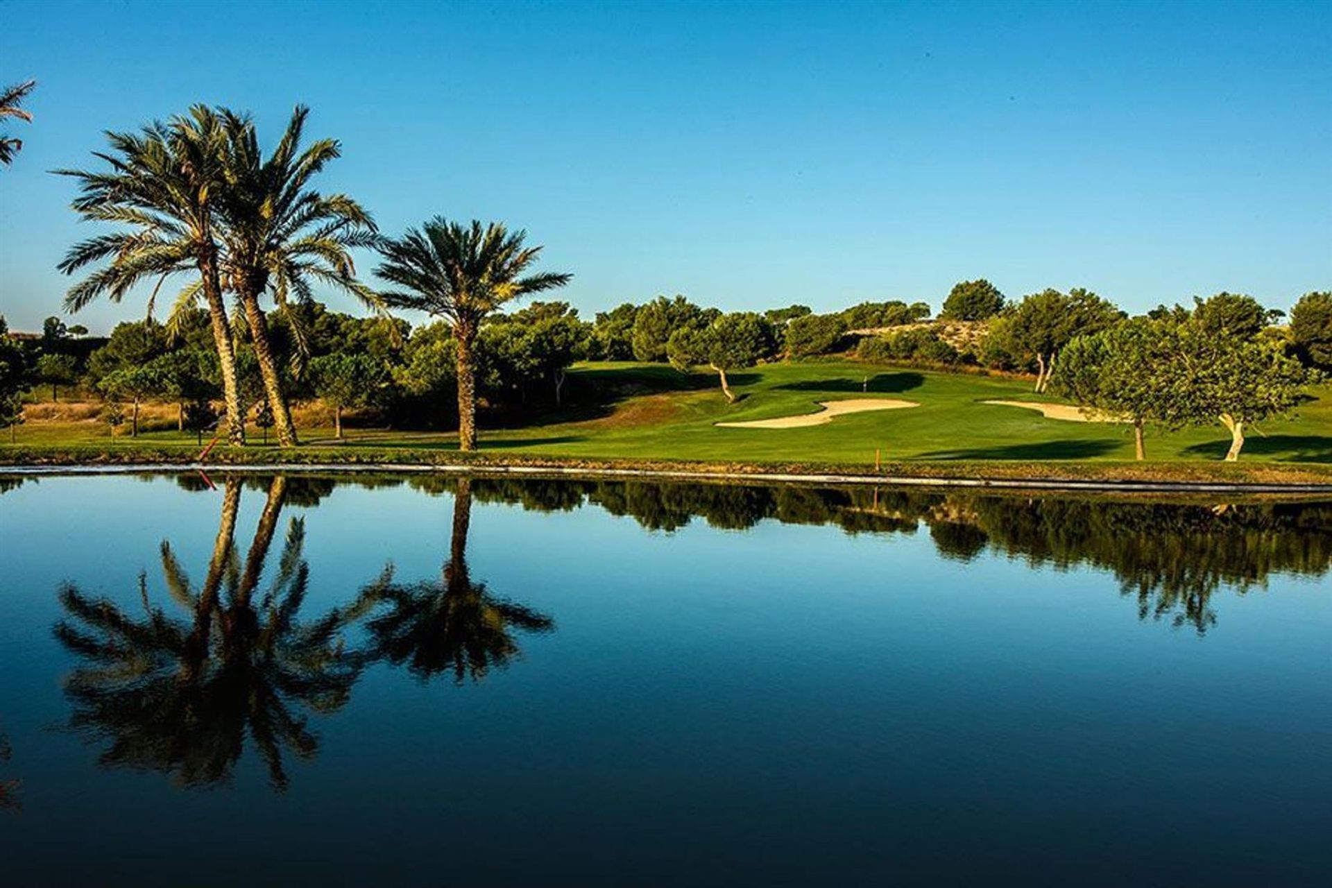 Будинок в Alenda Golf, AlIcante, AlIcante 10034906