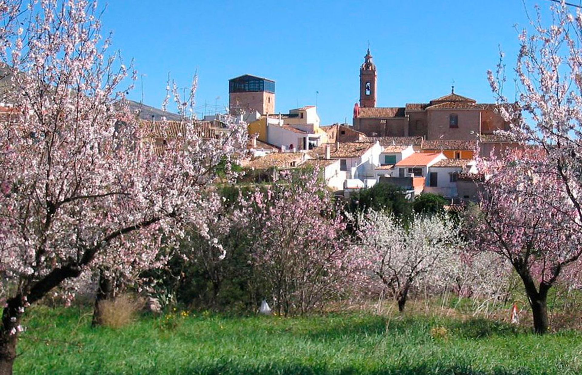 σπίτι σε Marina Alta Inland, Alicante 10035463