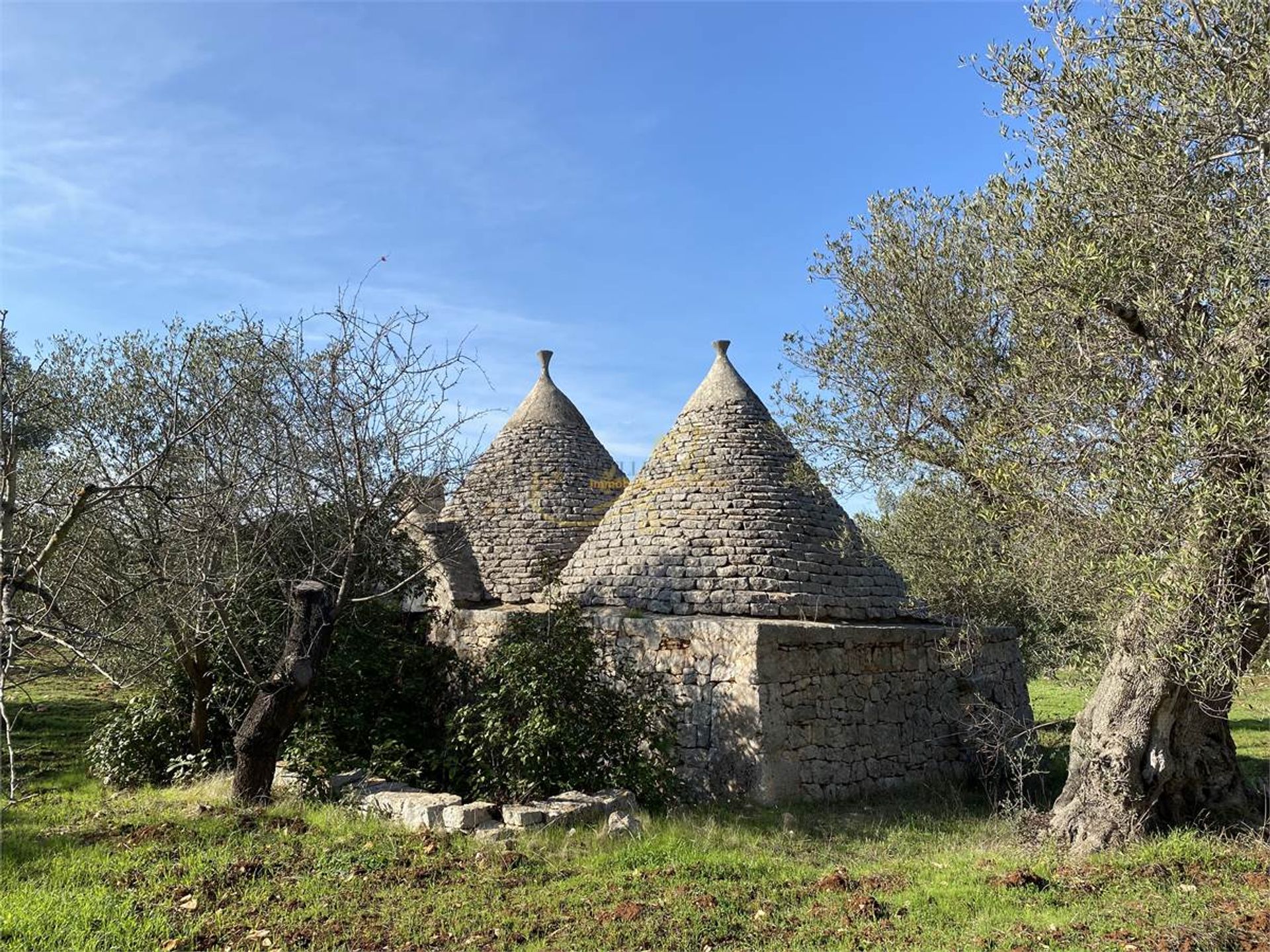 Eigentumswohnung im Castellana Grotte, Puglia 10037862