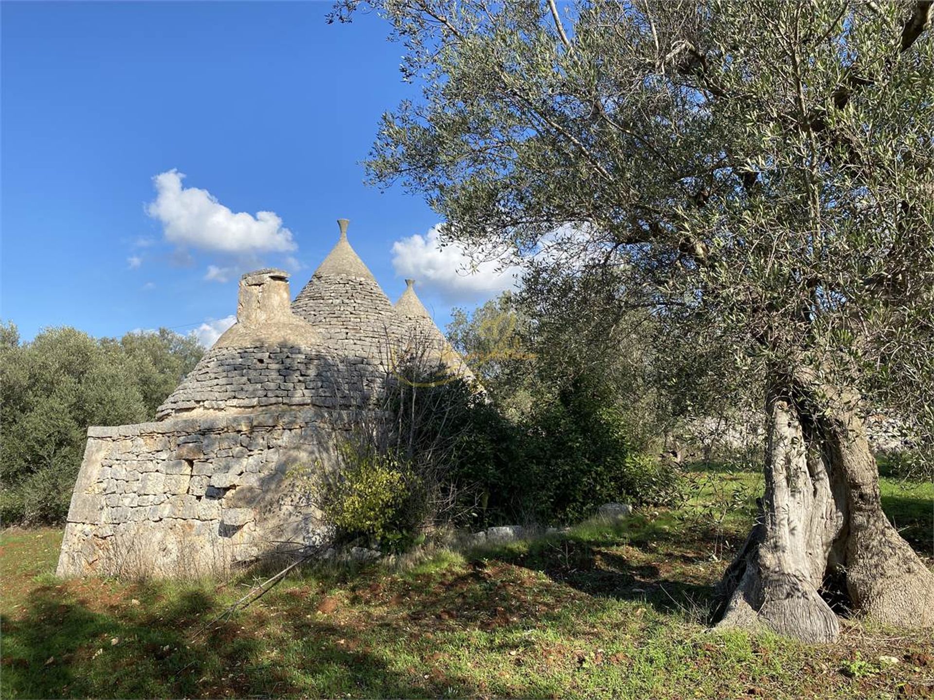 Condominio nel Castellana Grotte, Puglia 10037862