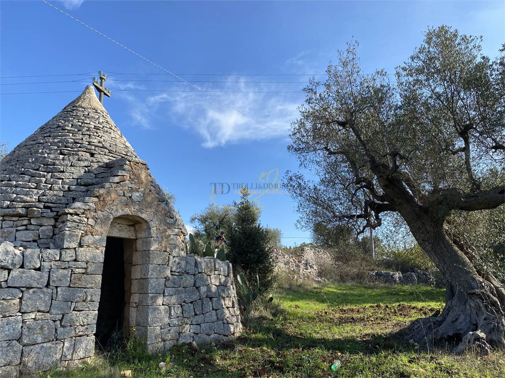 Eigentumswohnung im Castellana Grotte, Puglia 10037862