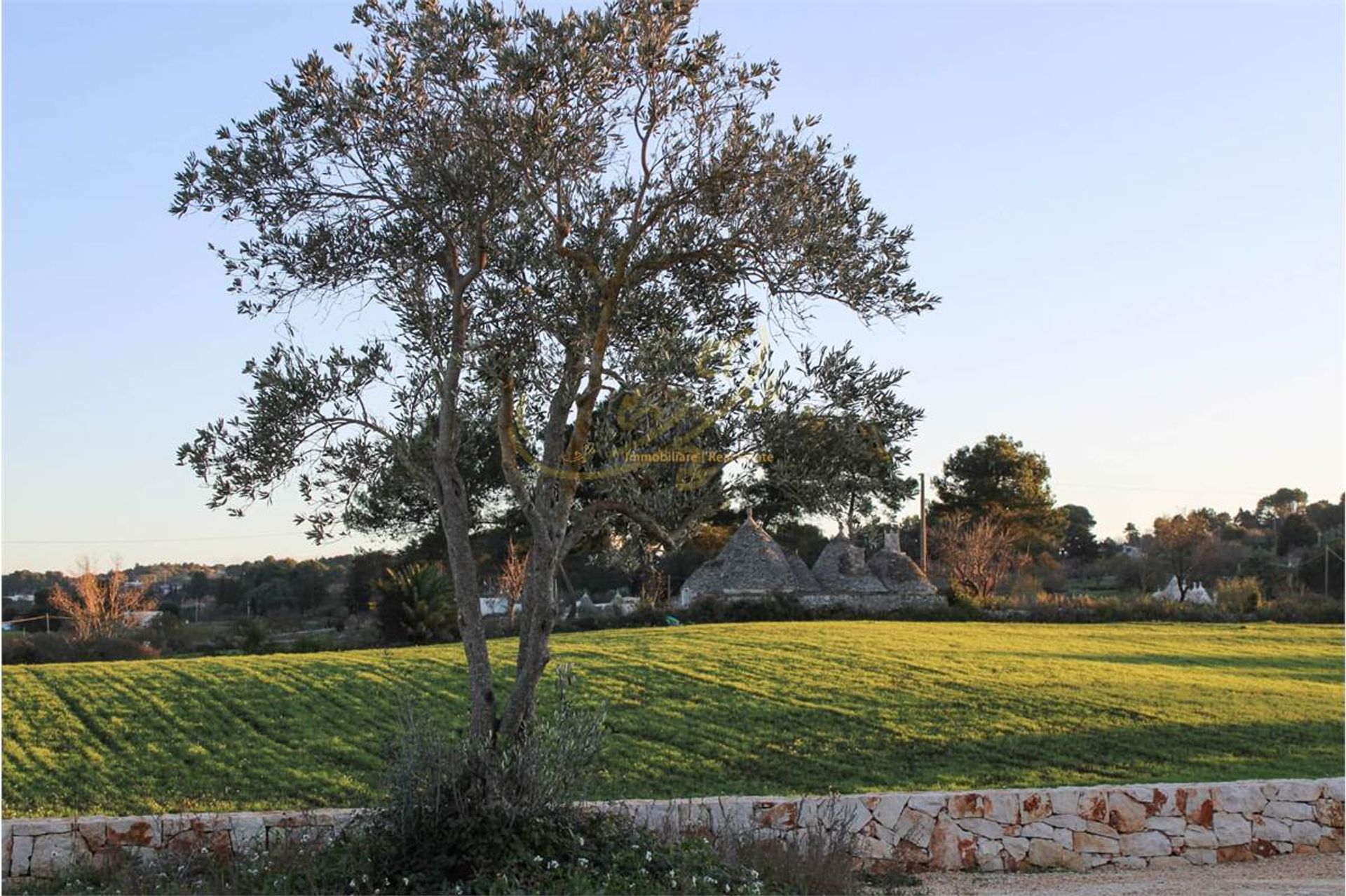 عمارات في Martina Franca,  10037870