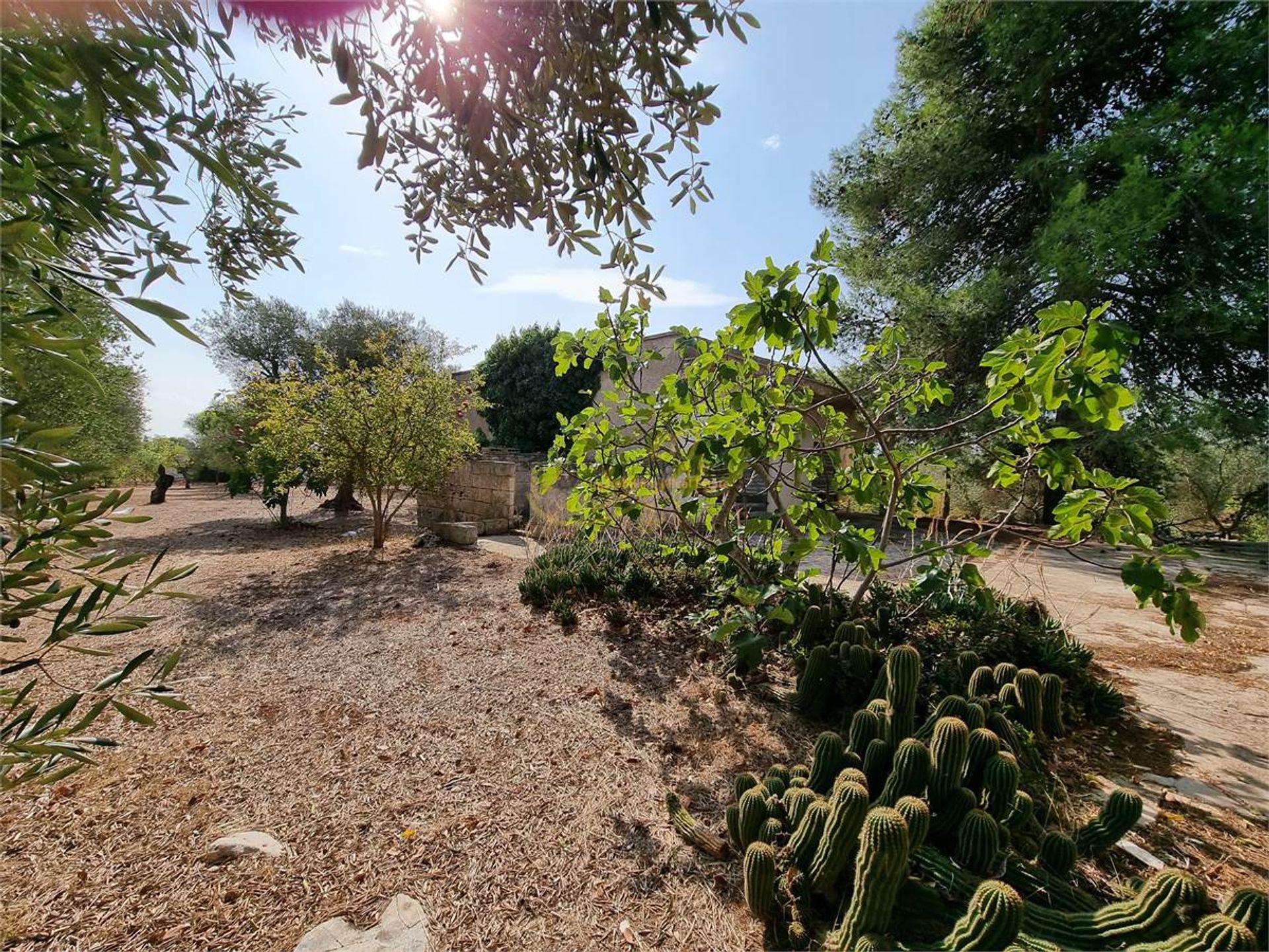 casa en Ceglie Messapico, Apulia 10037882