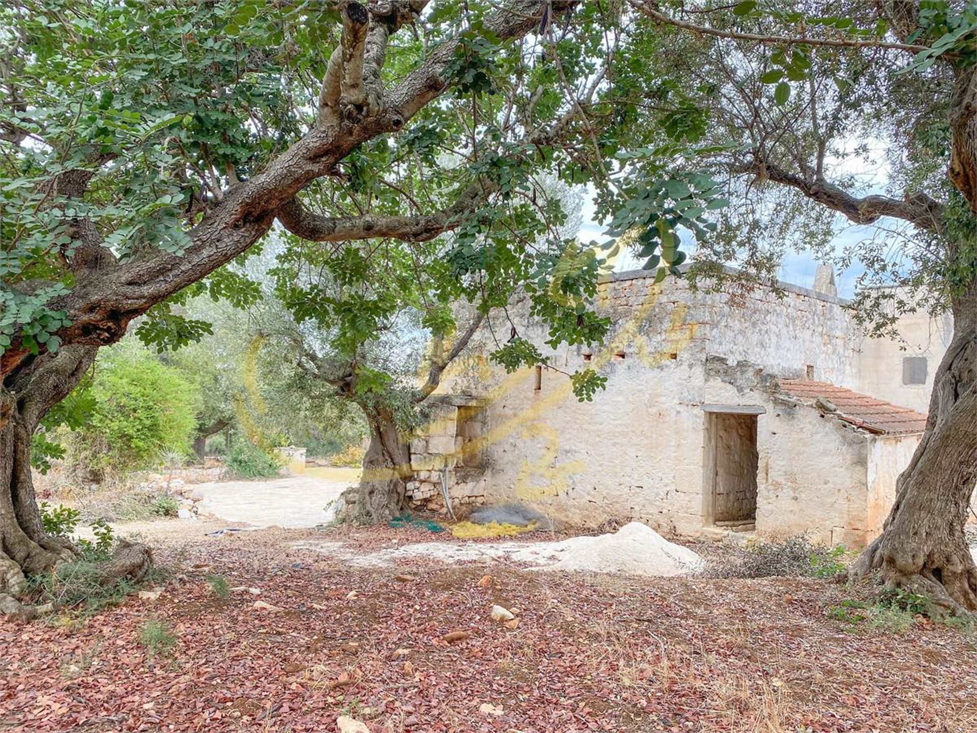 Rumah di Monopoli, Puglia 10037892